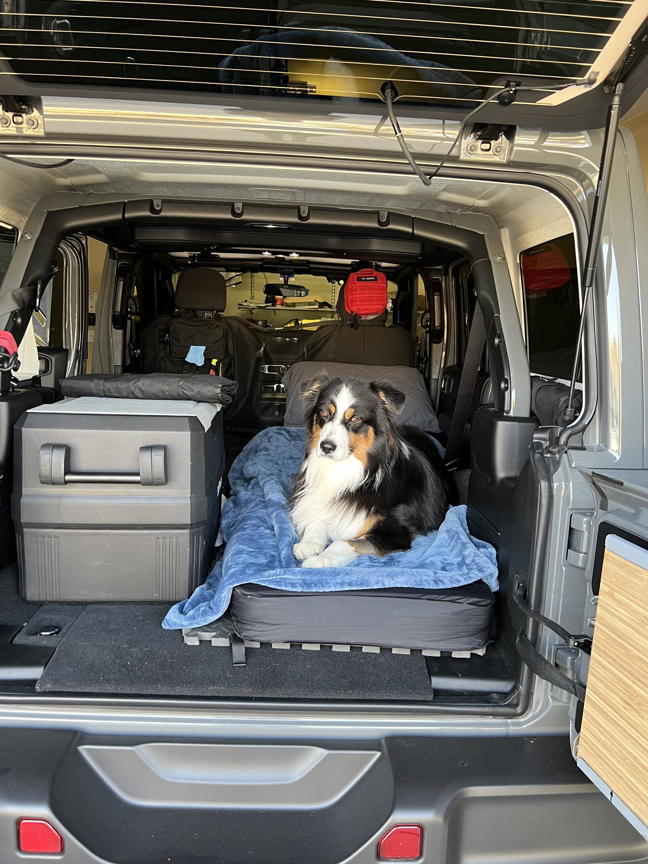 Jeep Wrangler JL Camping inside my jeep IMG_6377