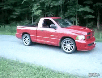 KlutzyWarpedDromedary-size_restricted.gif