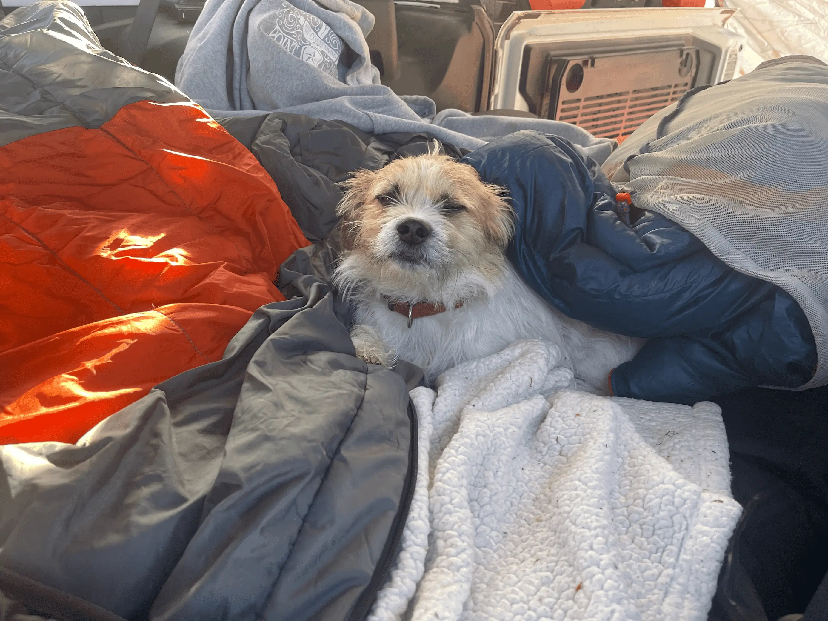 Jeep Wrangler JL Camping inside my jeep 1681897045663