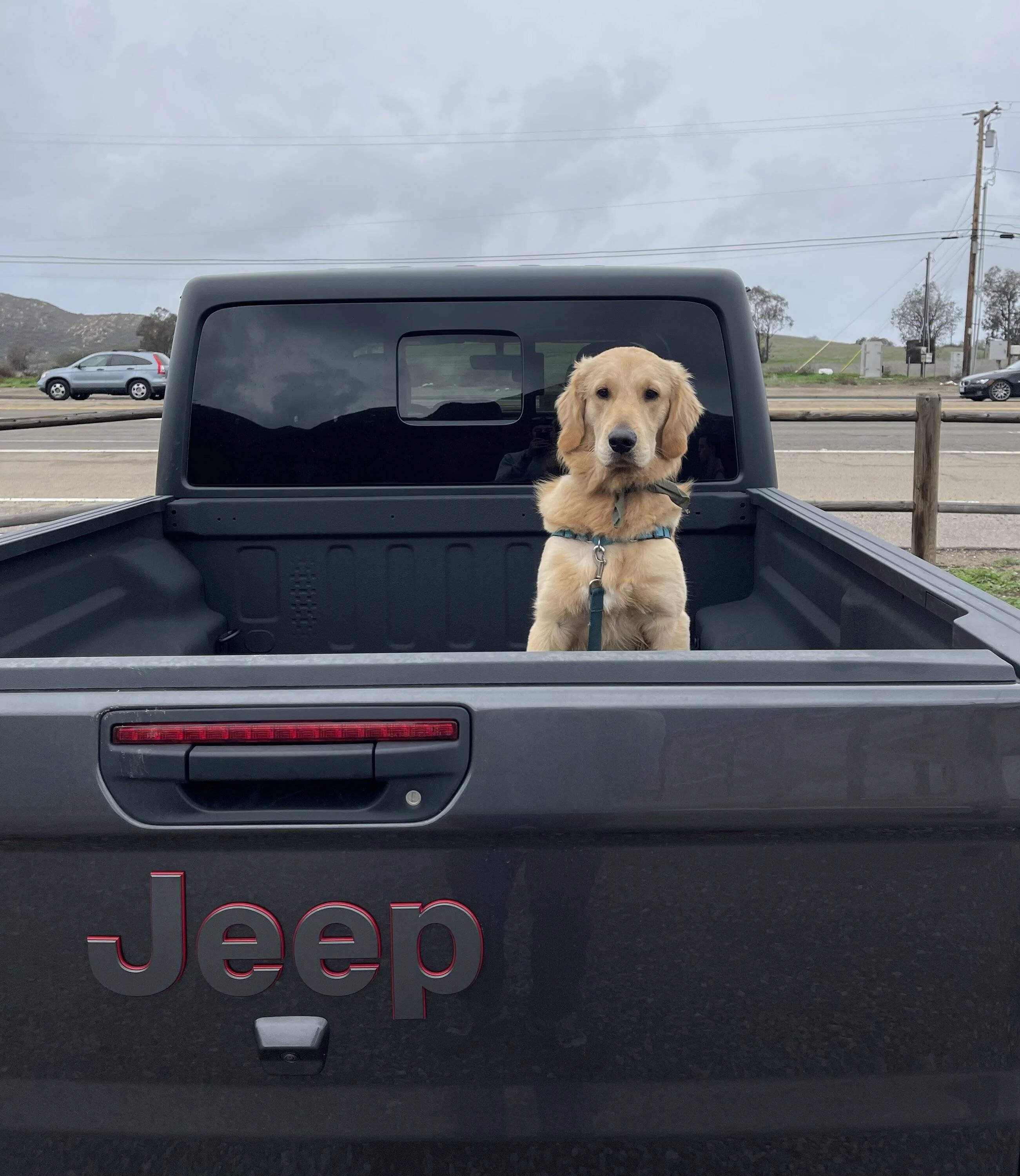 Jeep Wrangler JL Jeep Dog pics E7FB3350-2E3A-40F5-AD89-4D5DB0A2E434
