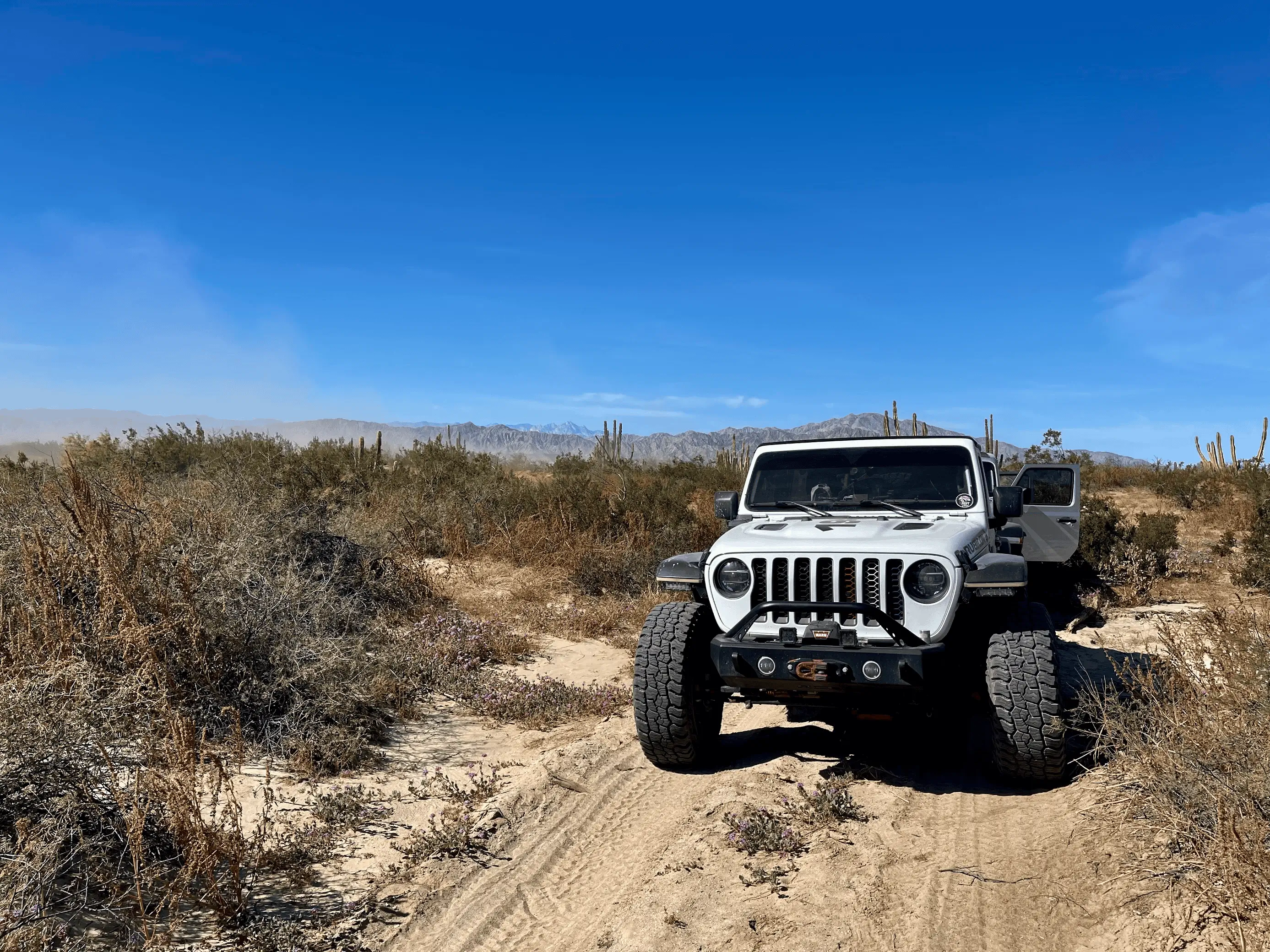 Jeep Wrangler JL Mickey Thompson BAJA BOSS AT 20,000 mile review. 1682512074781