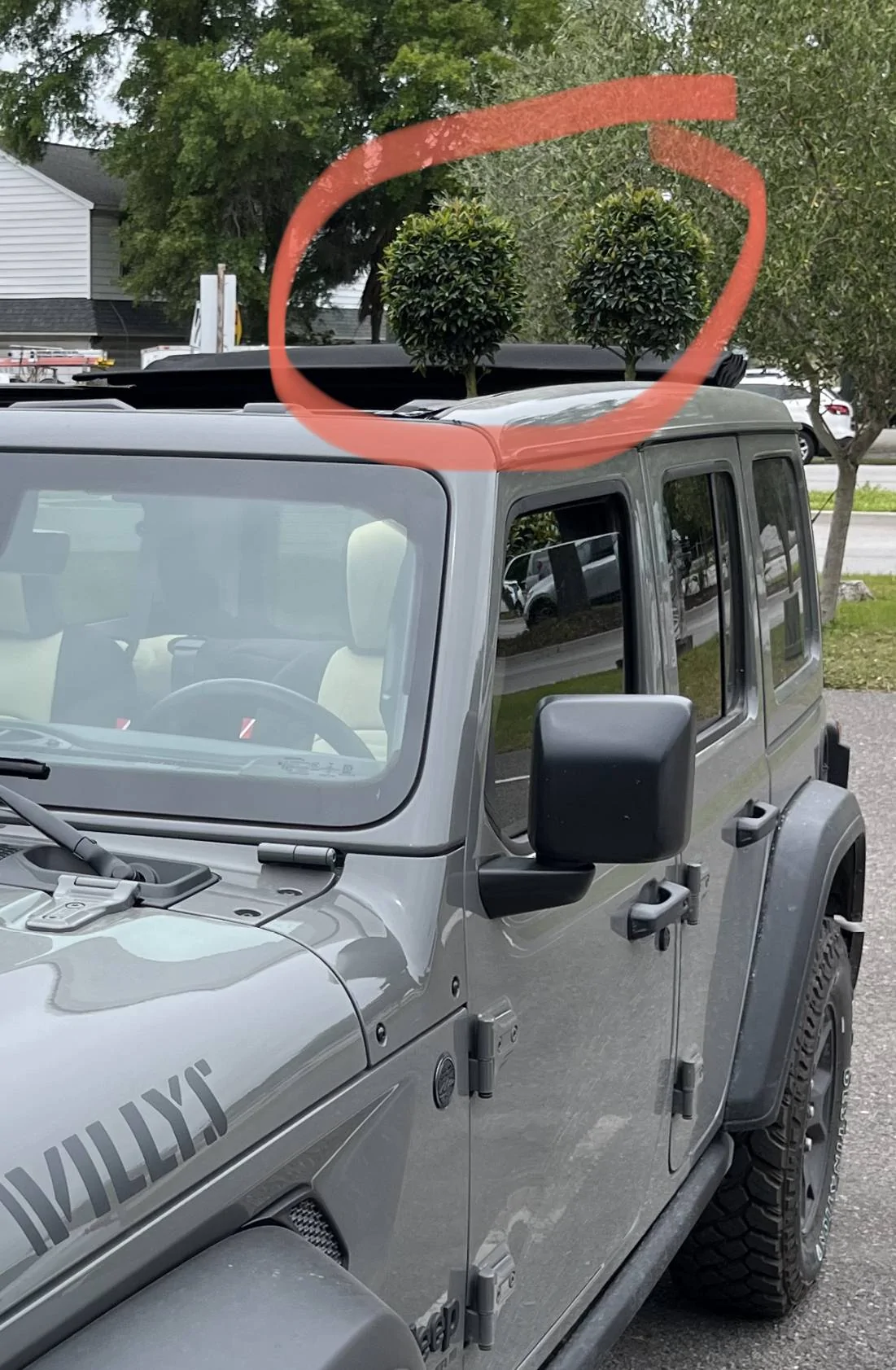 Jeep Wrangler JL Quick plant transport IMG_0360