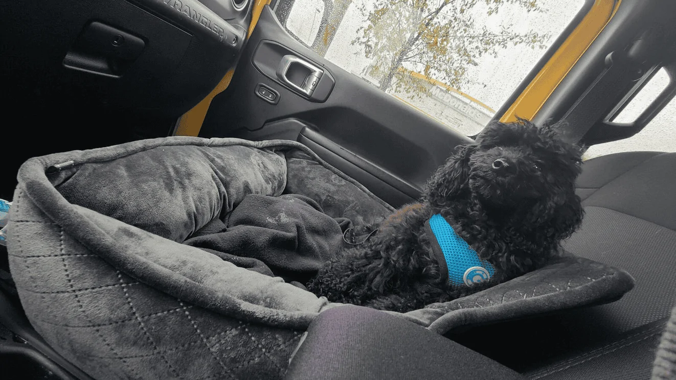 Jeep Wrangler JL Jeep Dog pics 1683553339976