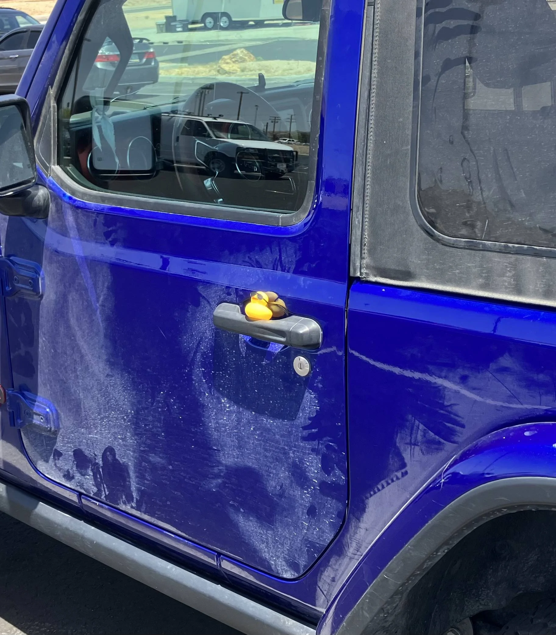Jeep Wrangler JL Got Ducked!!!!! IMG_3424