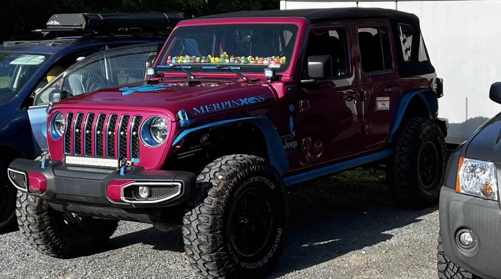 Jeep Wrangler JL Got Ducked!!!!! IMG_8663