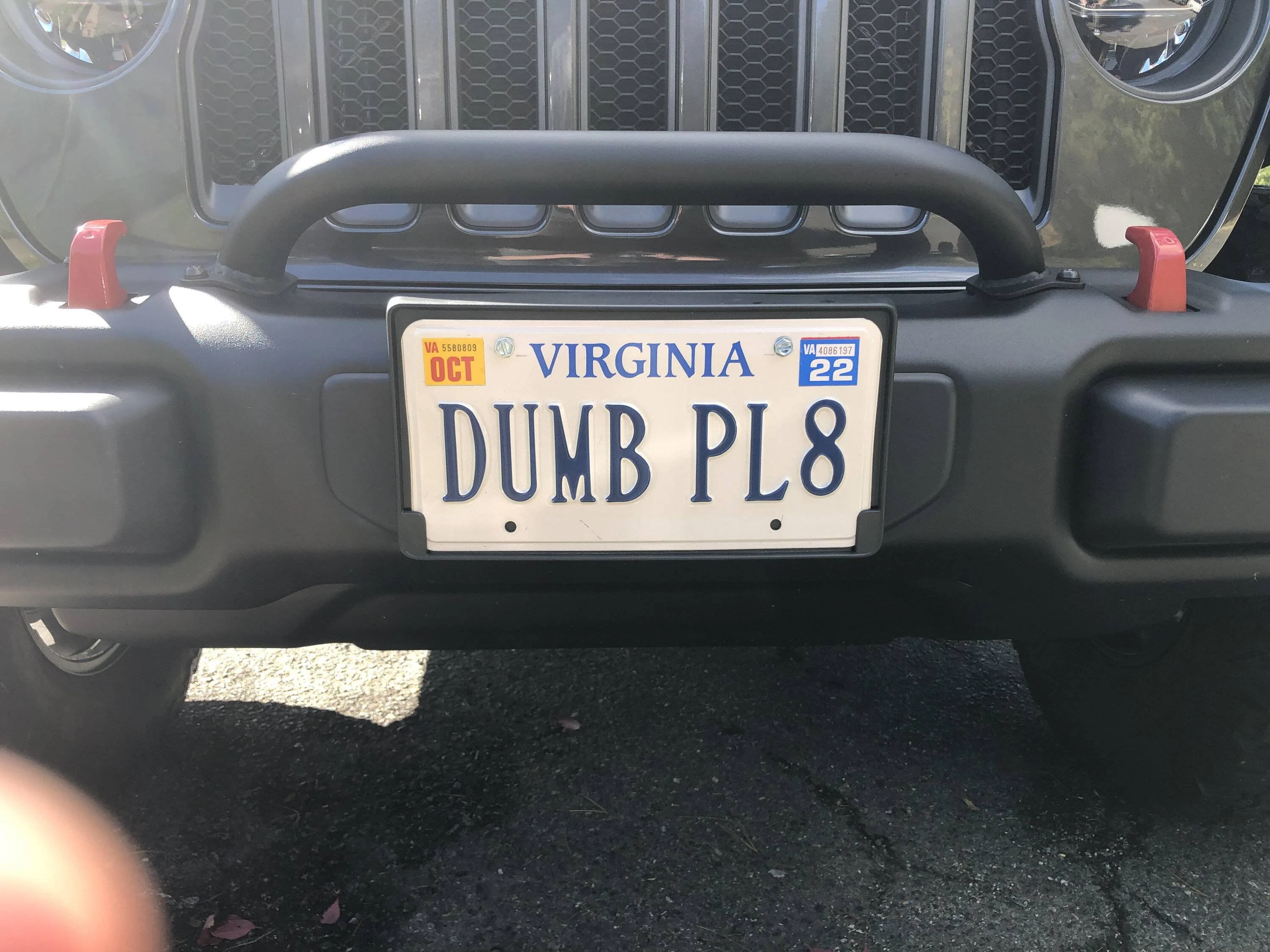 Jeep Wrangler JL Lets see those personalized plates!!! unnamed