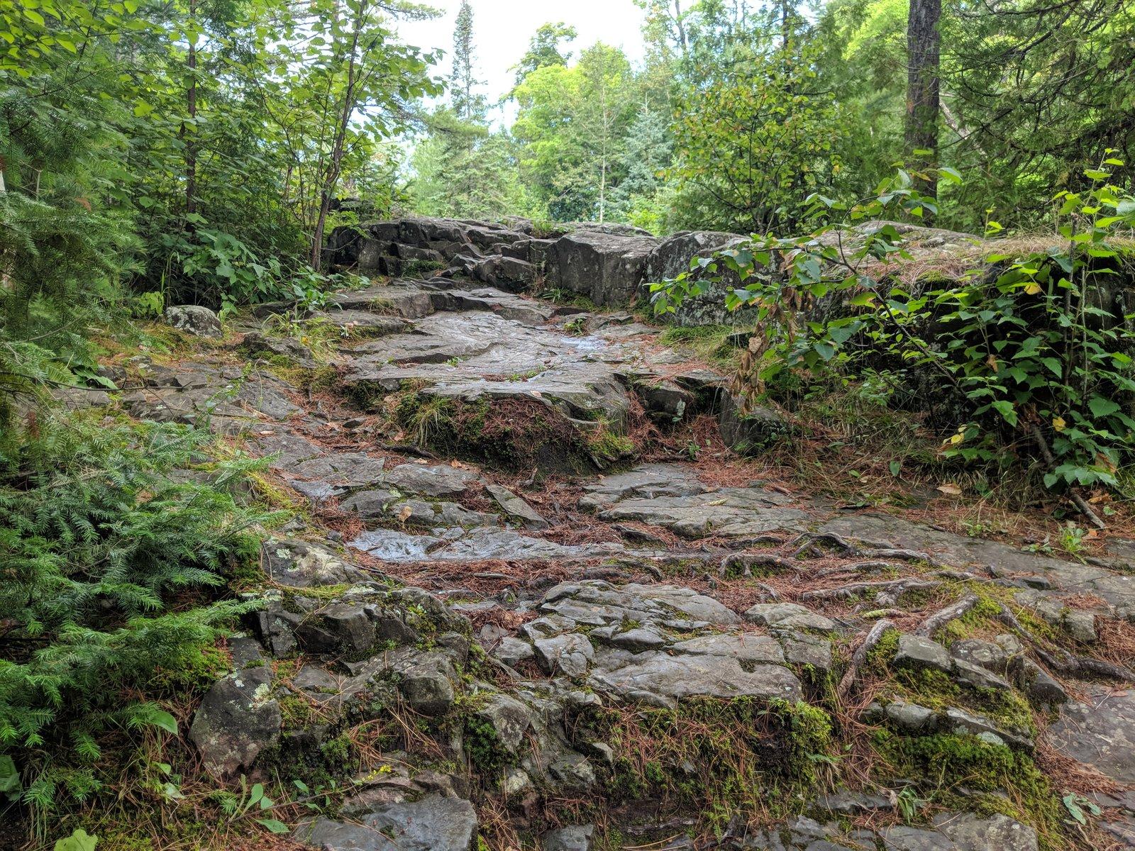 IMG_20180809_084047.jpg