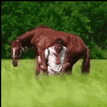 IMG_4460.gif