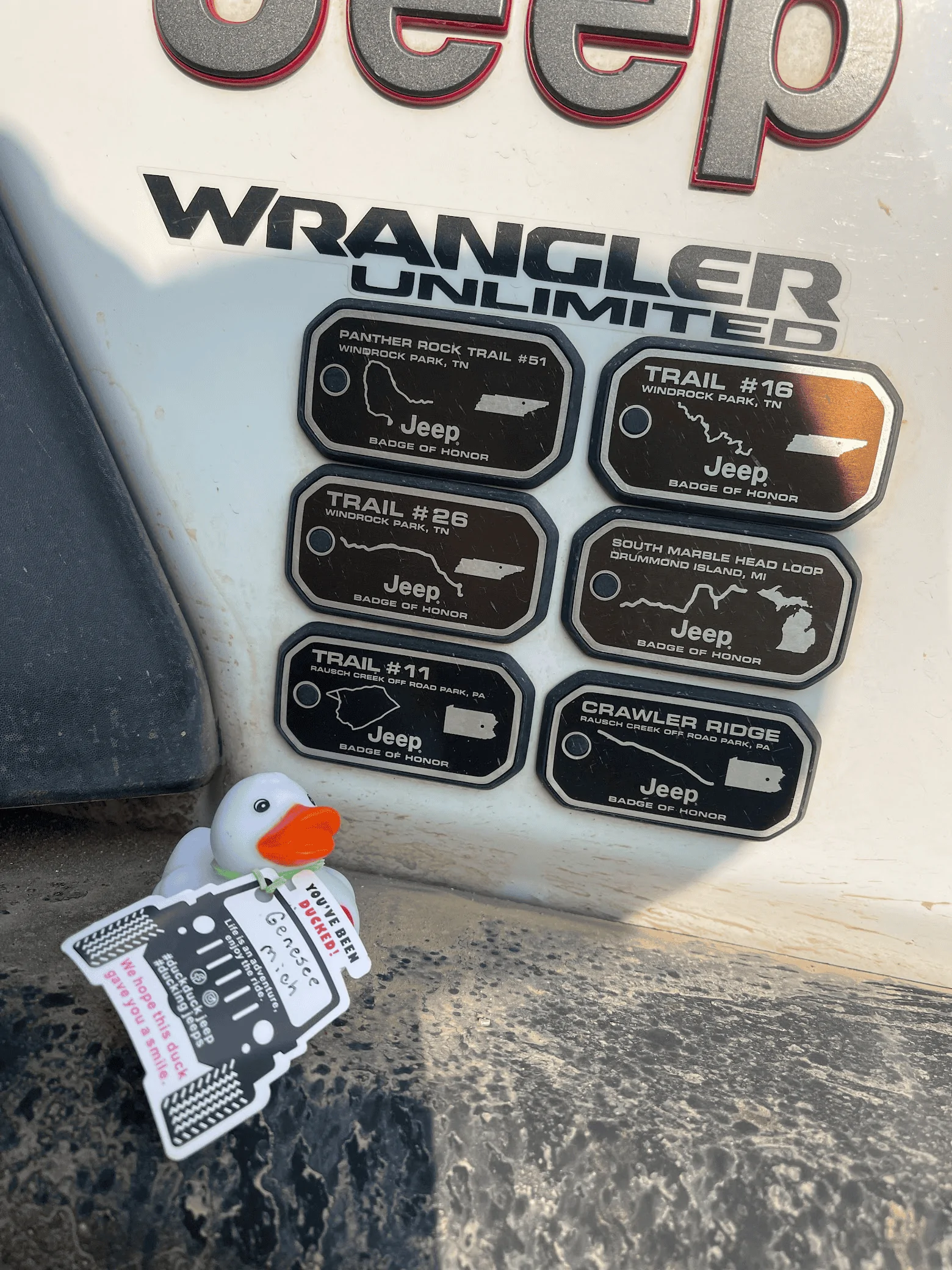 Jeep Wrangler JL Got Ducked!!!!! 1684756813967