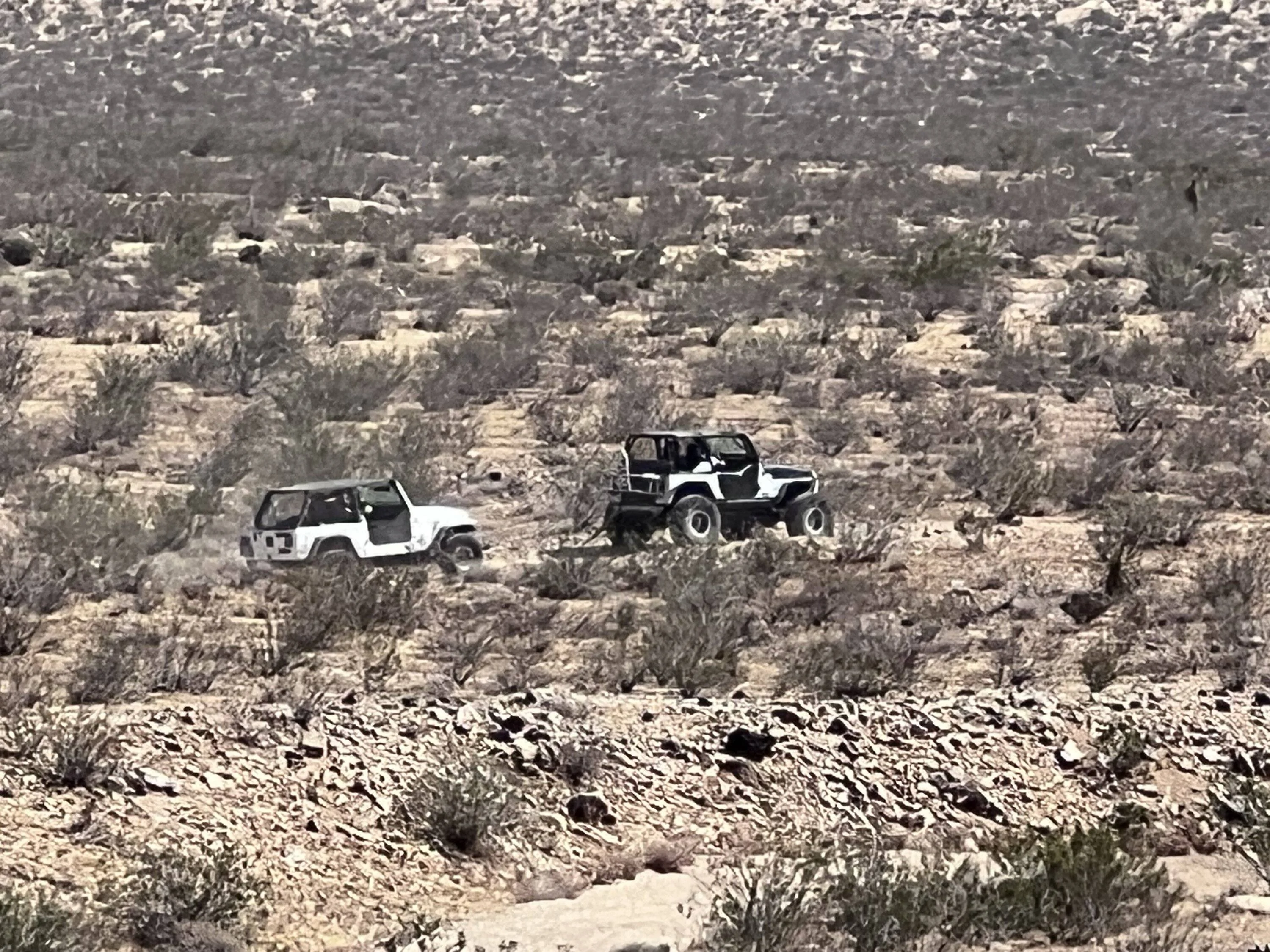 Jeep Wrangler JL Hi-Desert Roundup! IMG_7938