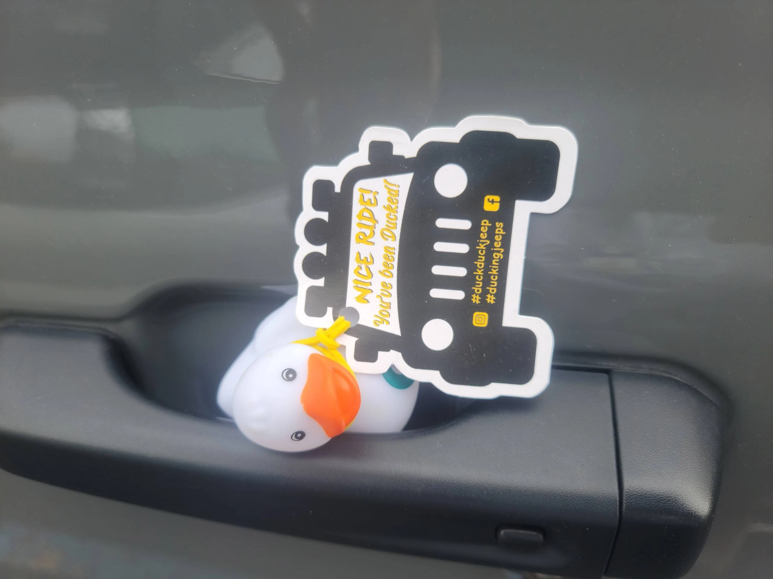 Jeep Wrangler JL Got Ducked!!!!! Duck Duck J