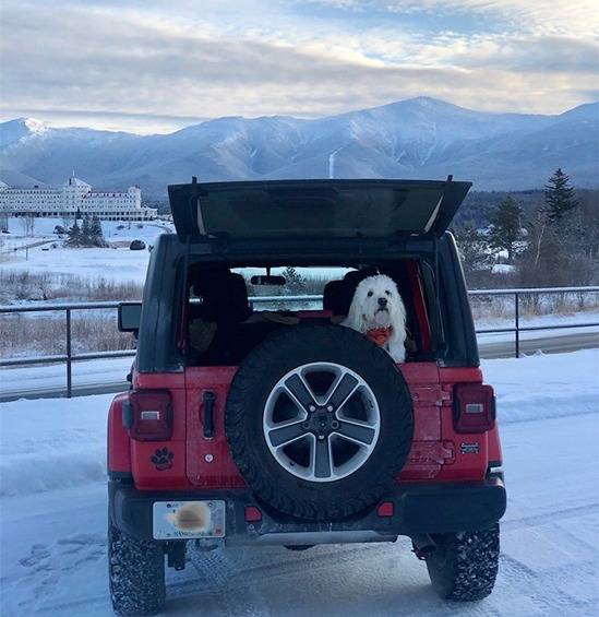 Jeep Wrangler JL Jeep Dog pics Jeep1