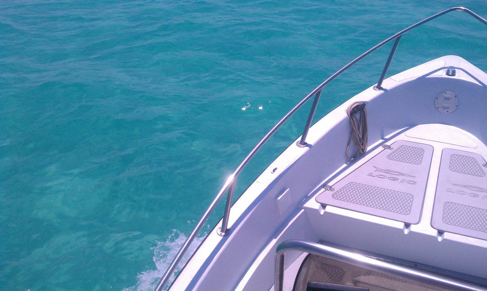 IMAG0465.webp