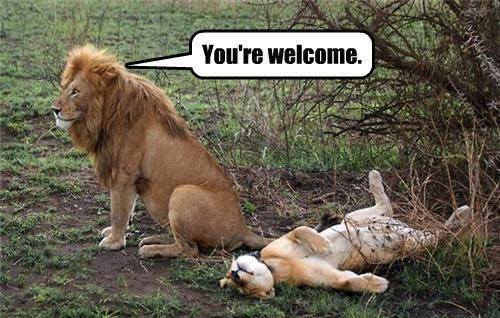 Jeep Wrangler JL Jeep humor waiting room ( ** NO POLITICS ** ) 1607014_647077758662821_1708224879_n