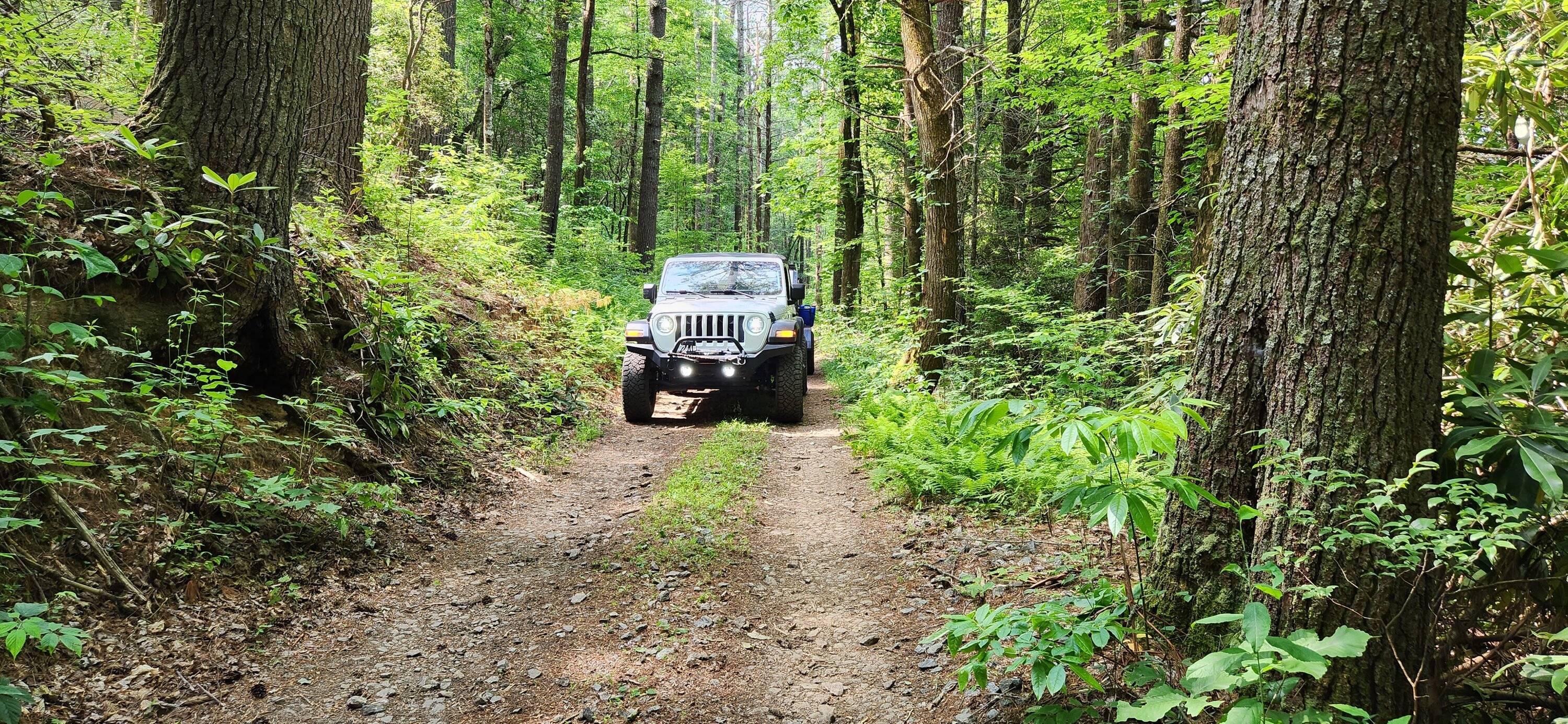 Jeep Wrangler JL Did half of the GA Traverse with my daughter 20230609_105403