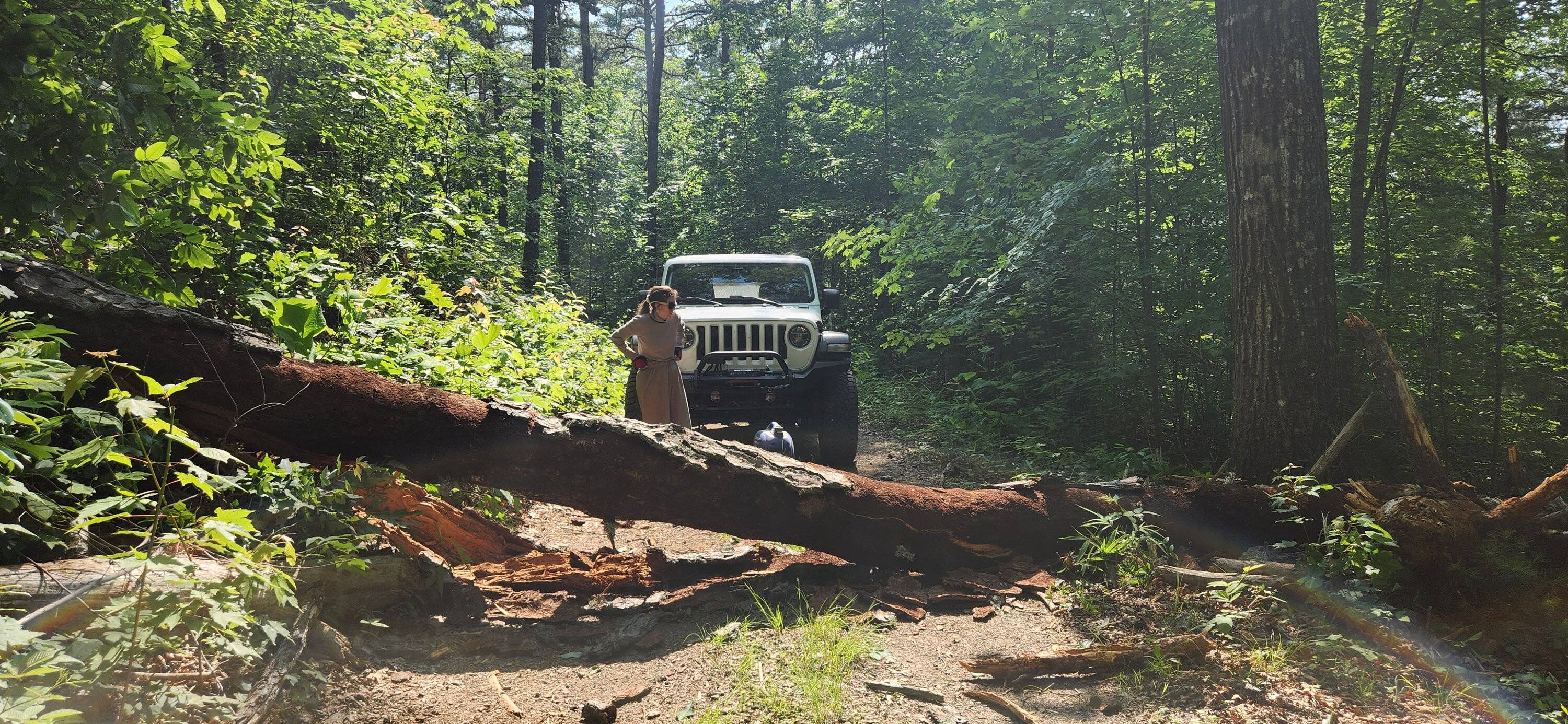 Jeep Wrangler JL Did half of the GA Traverse with my daughter 20230609_102404