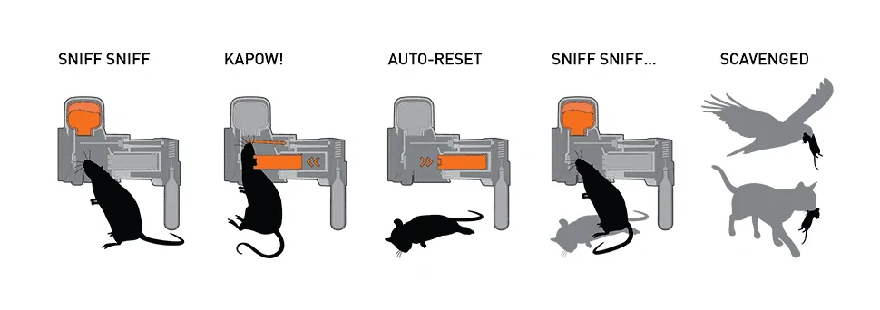 Jeep Wrangler JL Nesting Squirrels. ??? 1686595965998