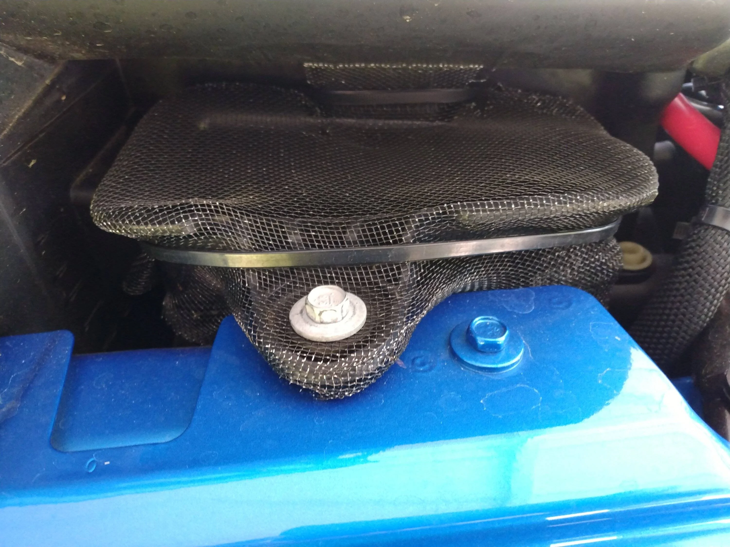 Jeep Wrangler JL Nesting Squirrels. ??? IMG_hacky