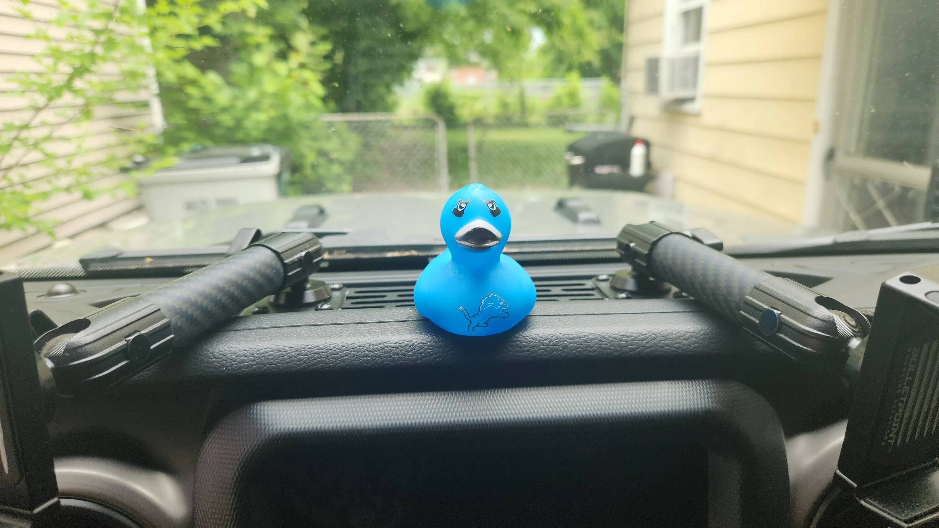 Jeep Wrangler JL Let's see your ducks! 20230615_121401
