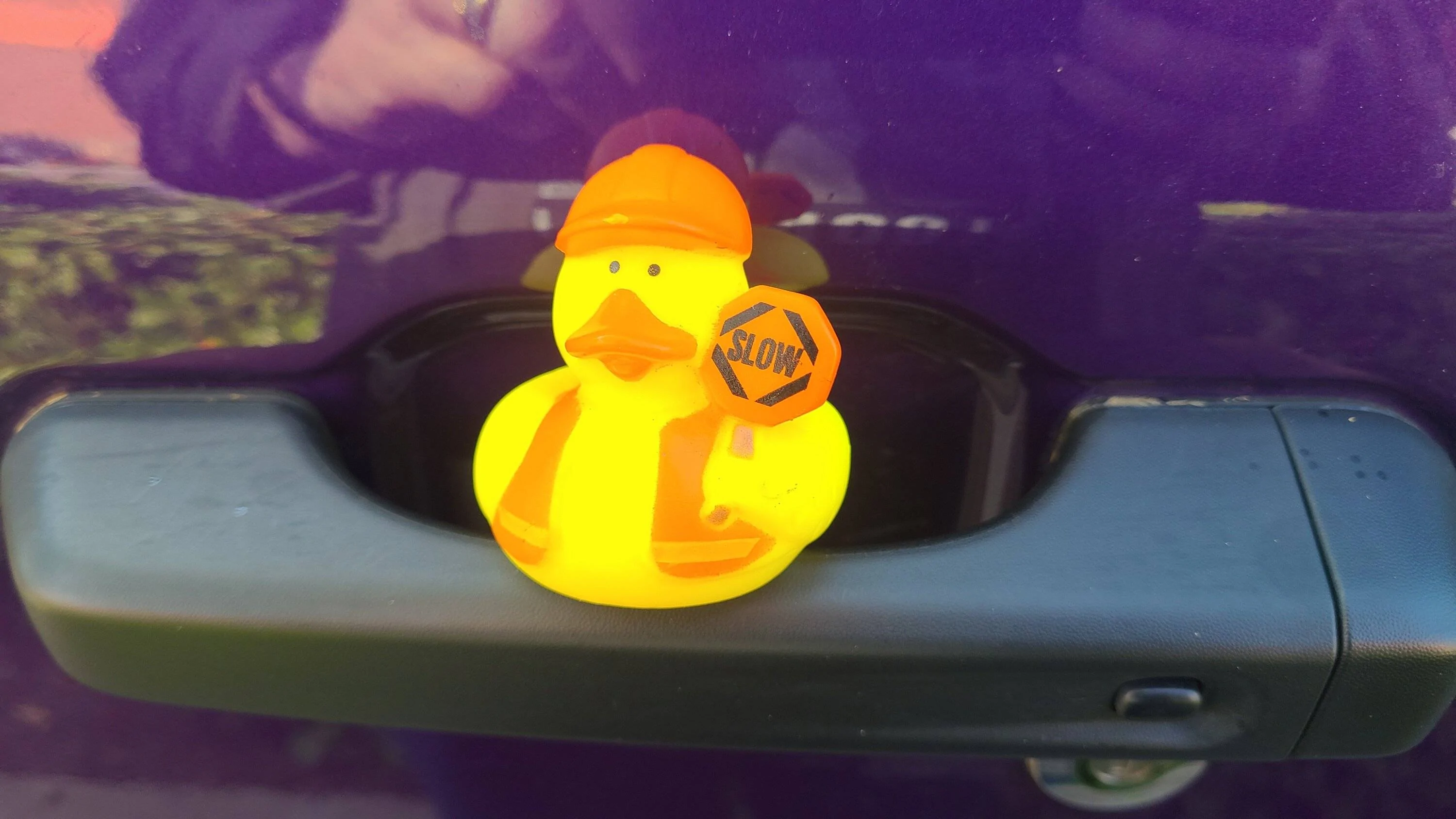 Jeep Wrangler JL Let's see your ducks! 20230610_085506