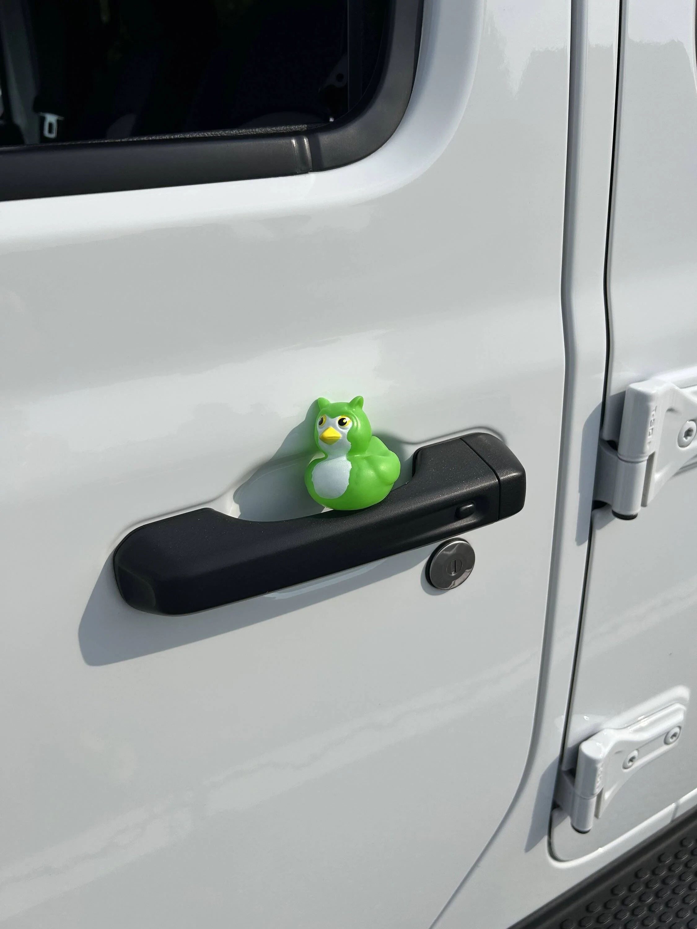 Jeep Wrangler JL Let's see your ducks! IMG_2695