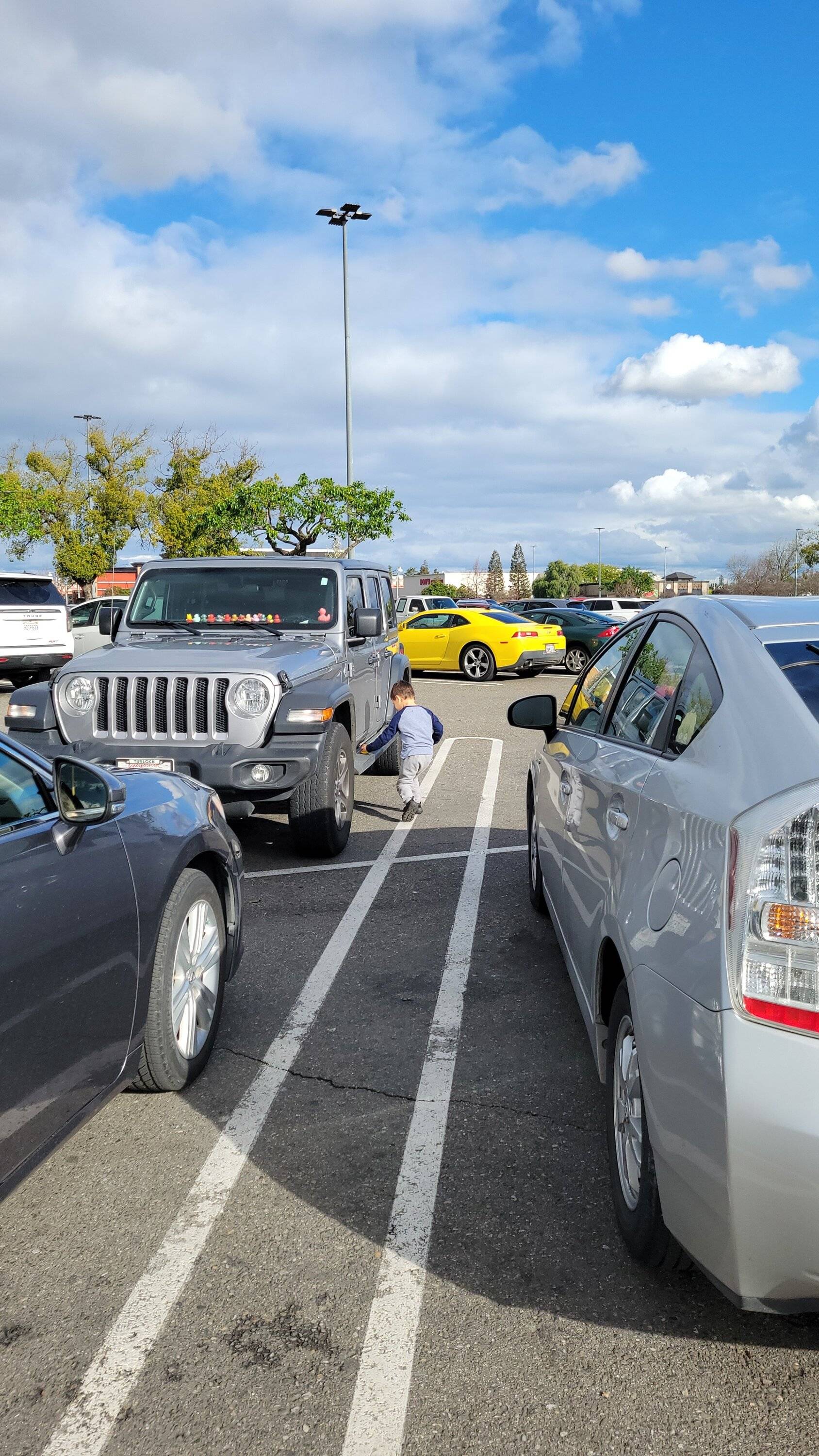 Jeep Wrangler JL Got Ducked!!!!! Snapchat-161997836