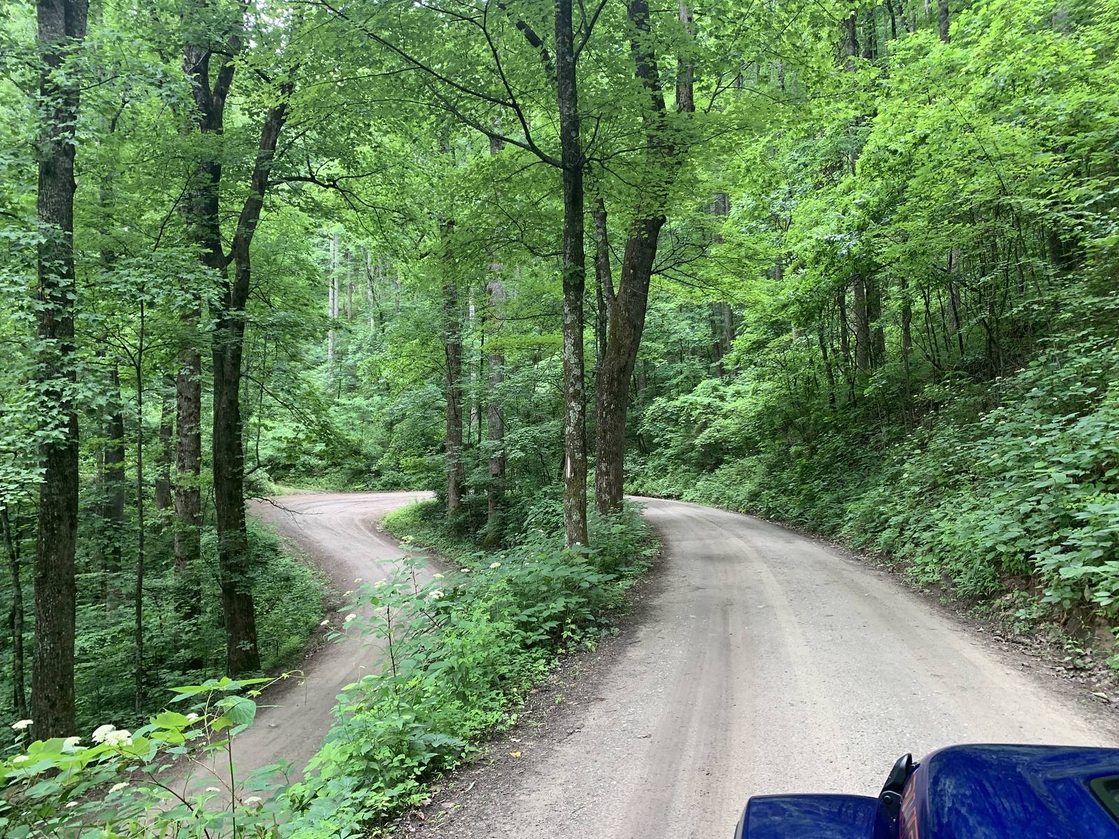 Jeep Wrangler JL Smokey Mountain Memories i-CX8HbsF-X3