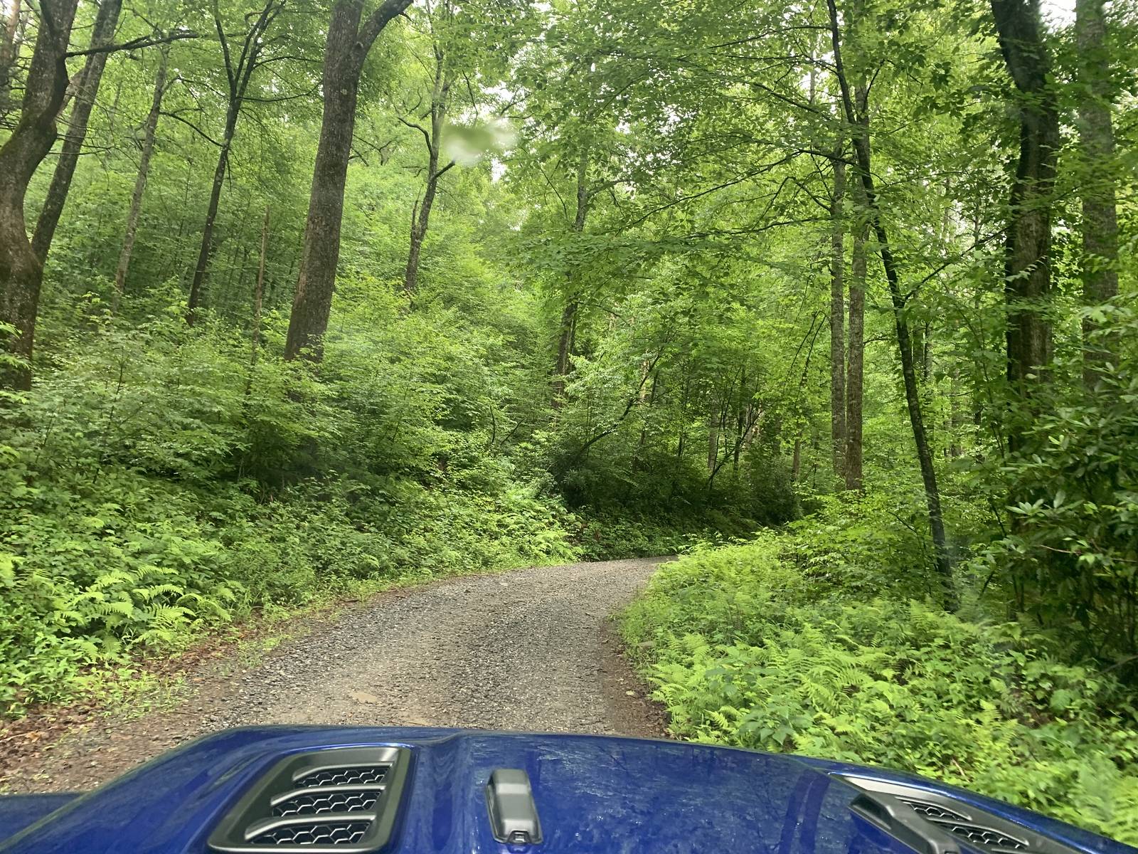 Jeep Wrangler JL Smokey Mountain Memories i-qWP68HF-X3