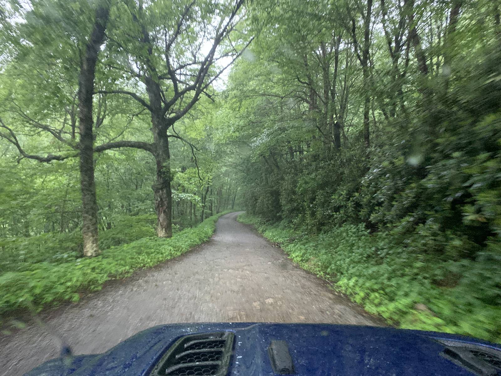 Jeep Wrangler JL Smokey Mountain Memories i-7p496Jw-X3