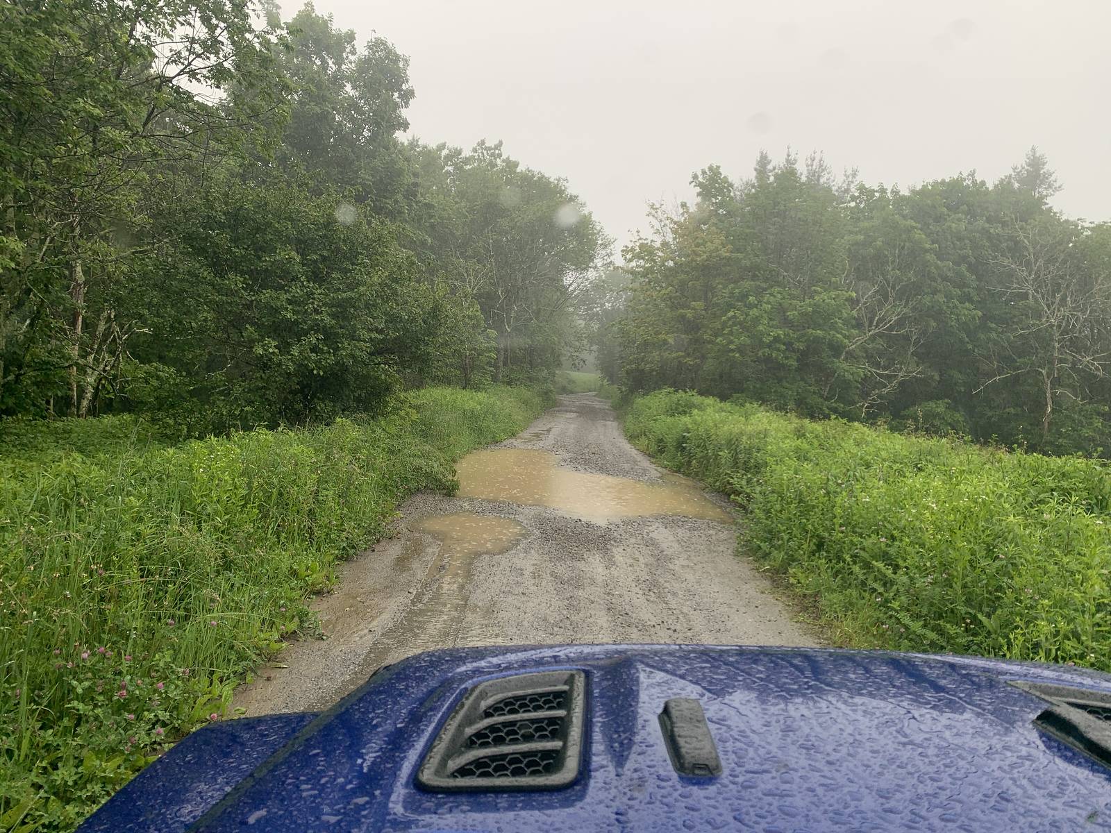 Jeep Wrangler JL Smokey Mountain Memories i-TSkcVzz-X3