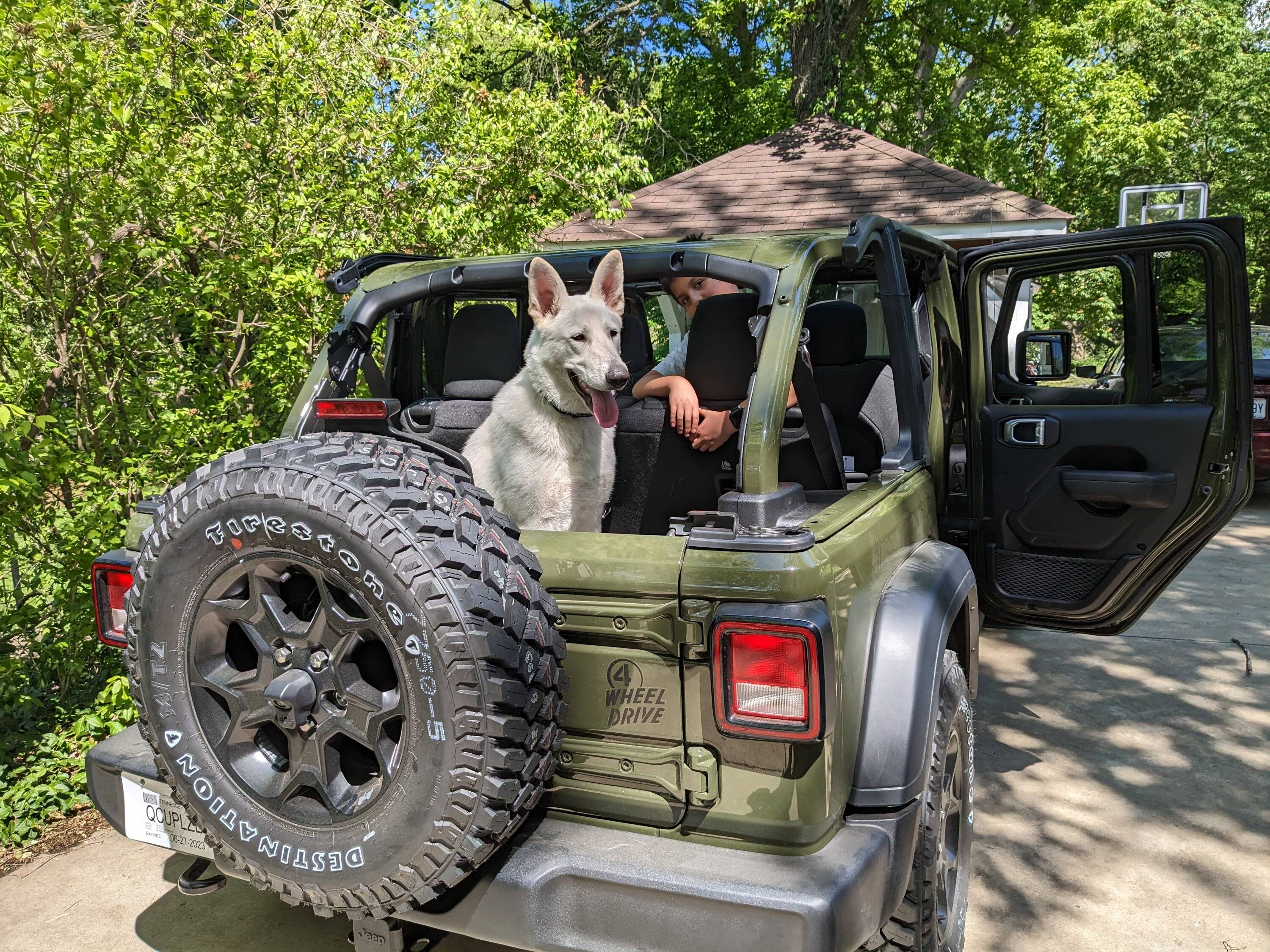 Jeep Wrangler JL Jeep Dog pics PXL_20230505_195559959