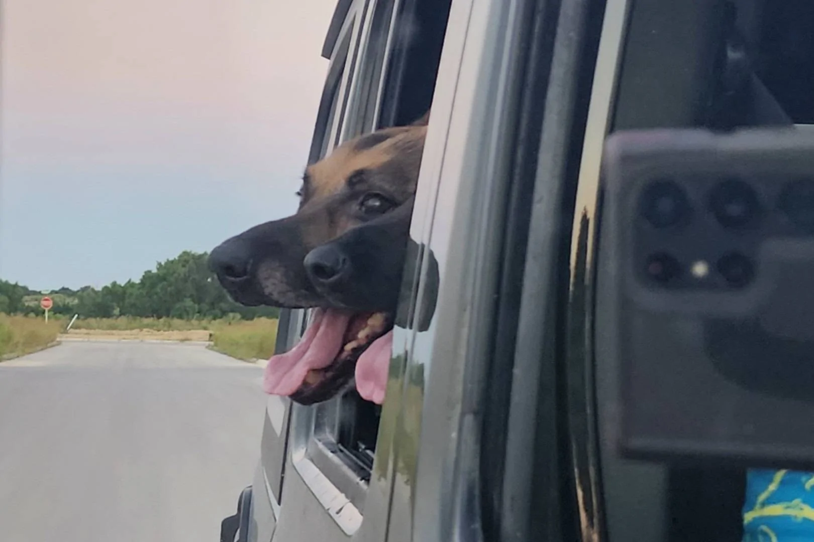Jeep Wrangler JL Jeep Dog pics Screenshot_20230626_001926_Gallery
