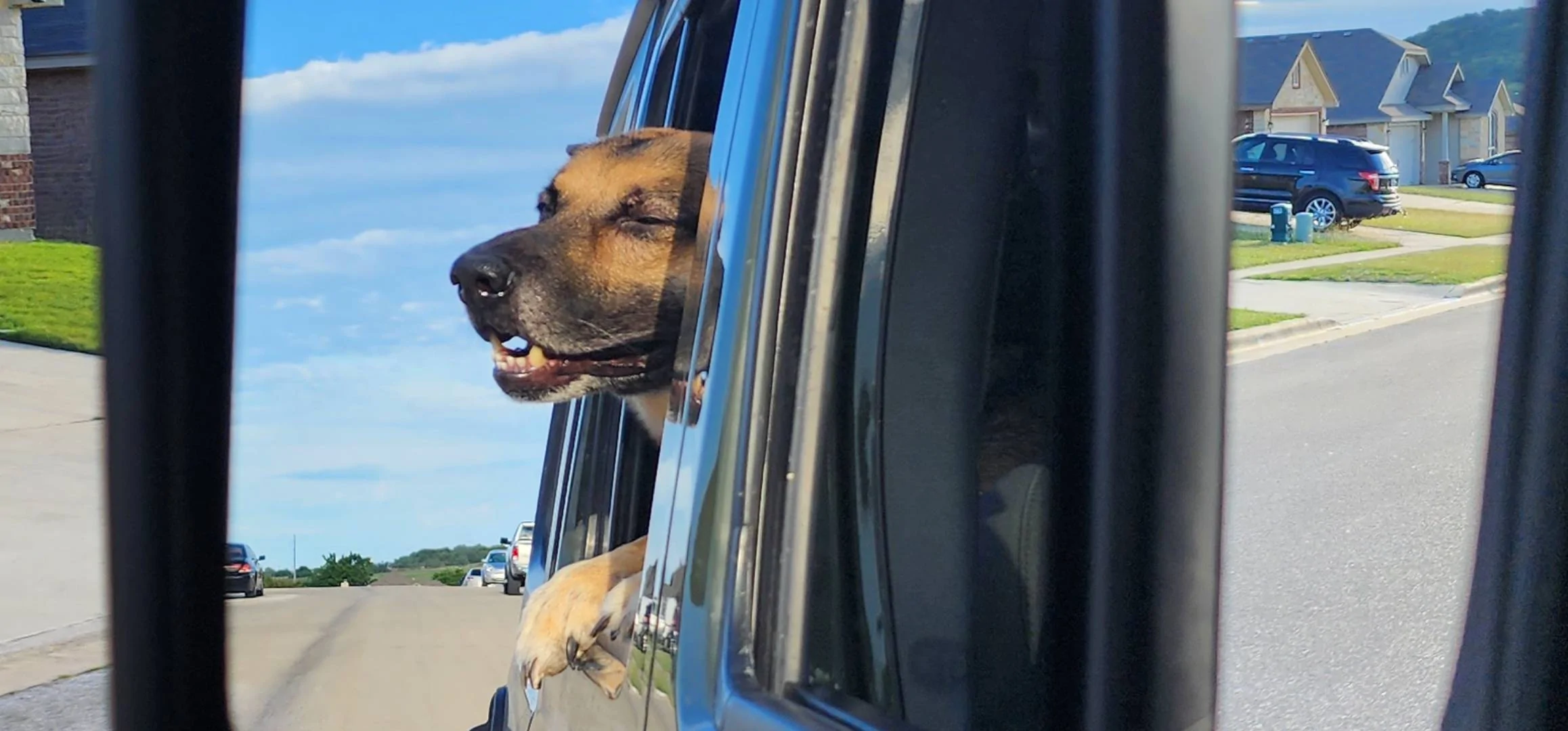 Jeep Wrangler JL Jeep Dog pics Screenshot_20230604_193023_Gallery