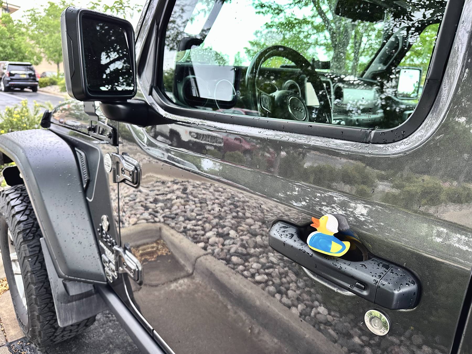 Jeep Wrangler JL Got Ducked!!!!! IMG_4088