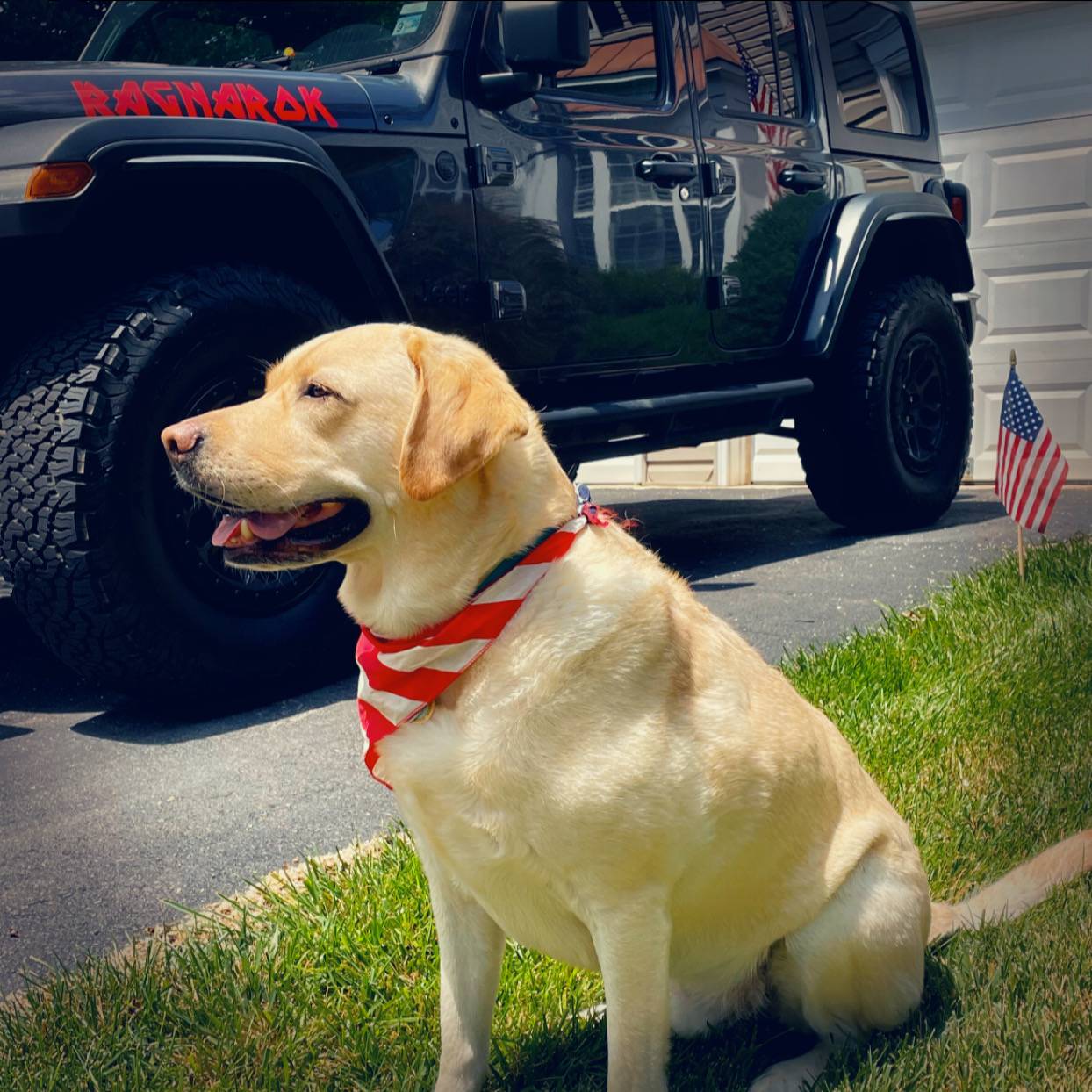 Jeep Wrangler JL Jeep Dog pics IMG_4850