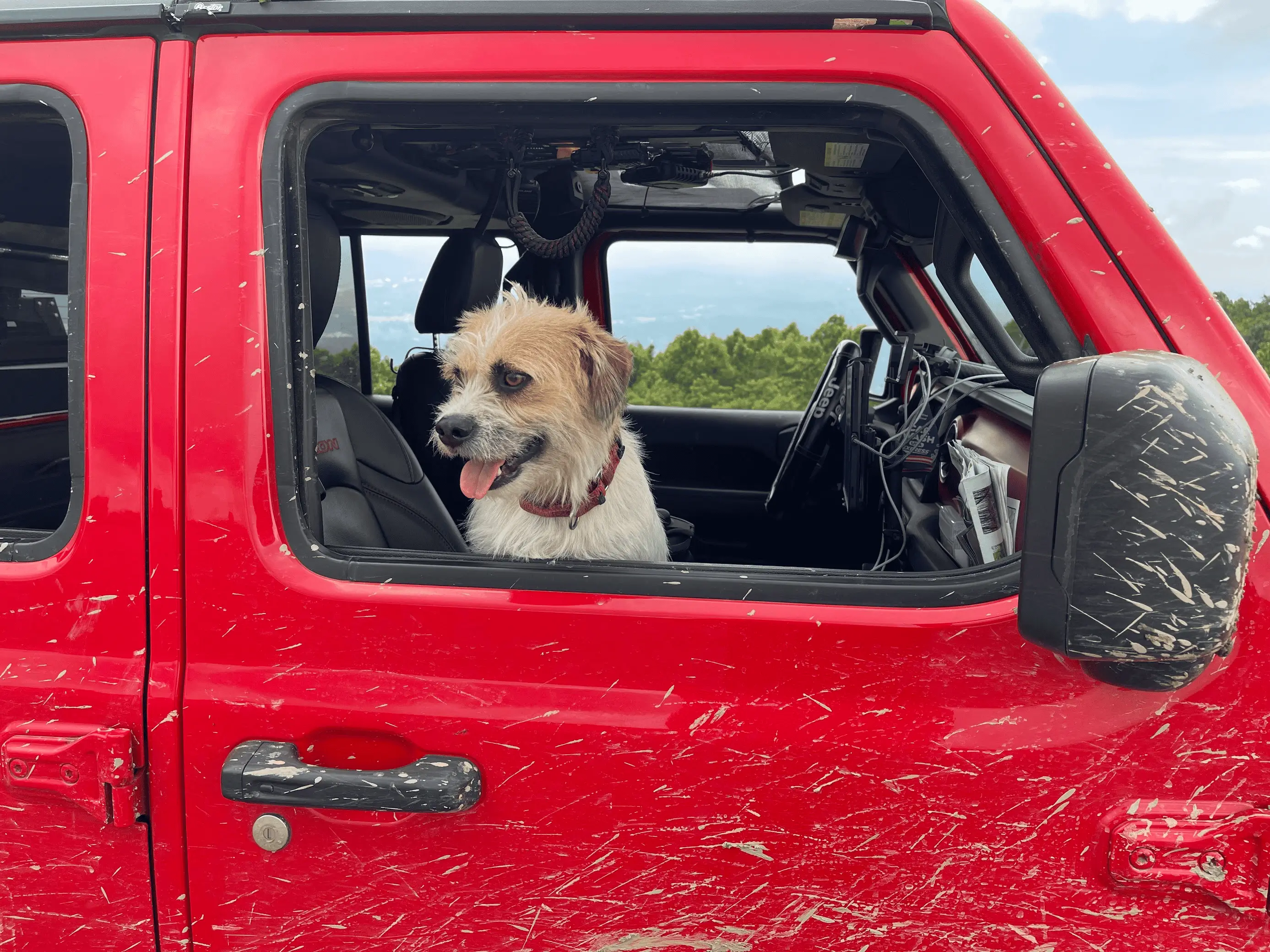 Jeep Wrangler JL Jeep Dog pics 1688729514603