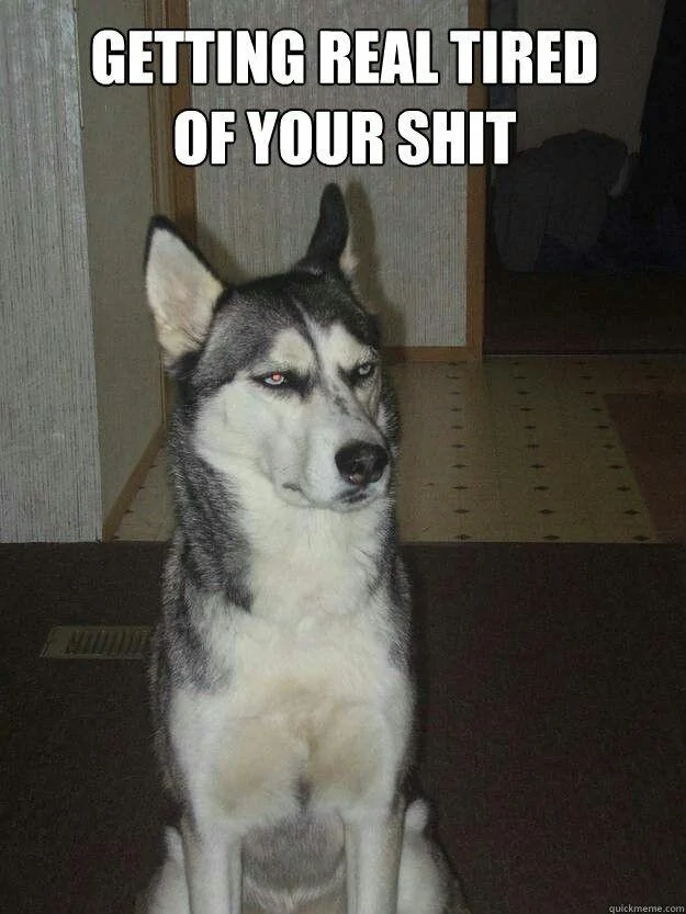 Jeep Wrangler JL Jeep humor waiting room ( ** NO POLITICS ** ) cc8e4305f23f8742aa7f1932a9eb6580--dog-pictures-funniest-pictures
