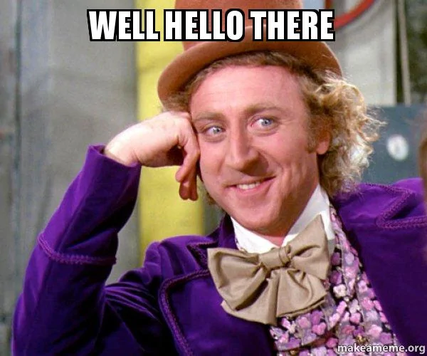 well-hello-there-7ljk0z.webp