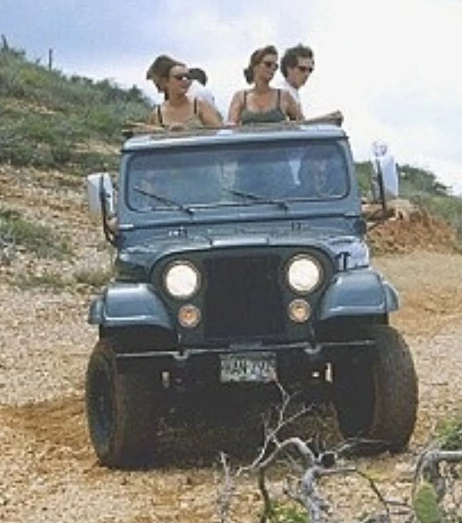 Jeep Wrangler JL Soft Top or SOT? IMG_0782