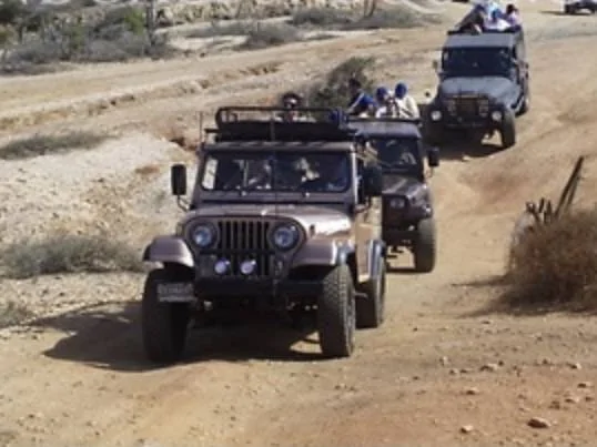 Jeep Wrangler JL Soft Top or SOT? IMG_0779