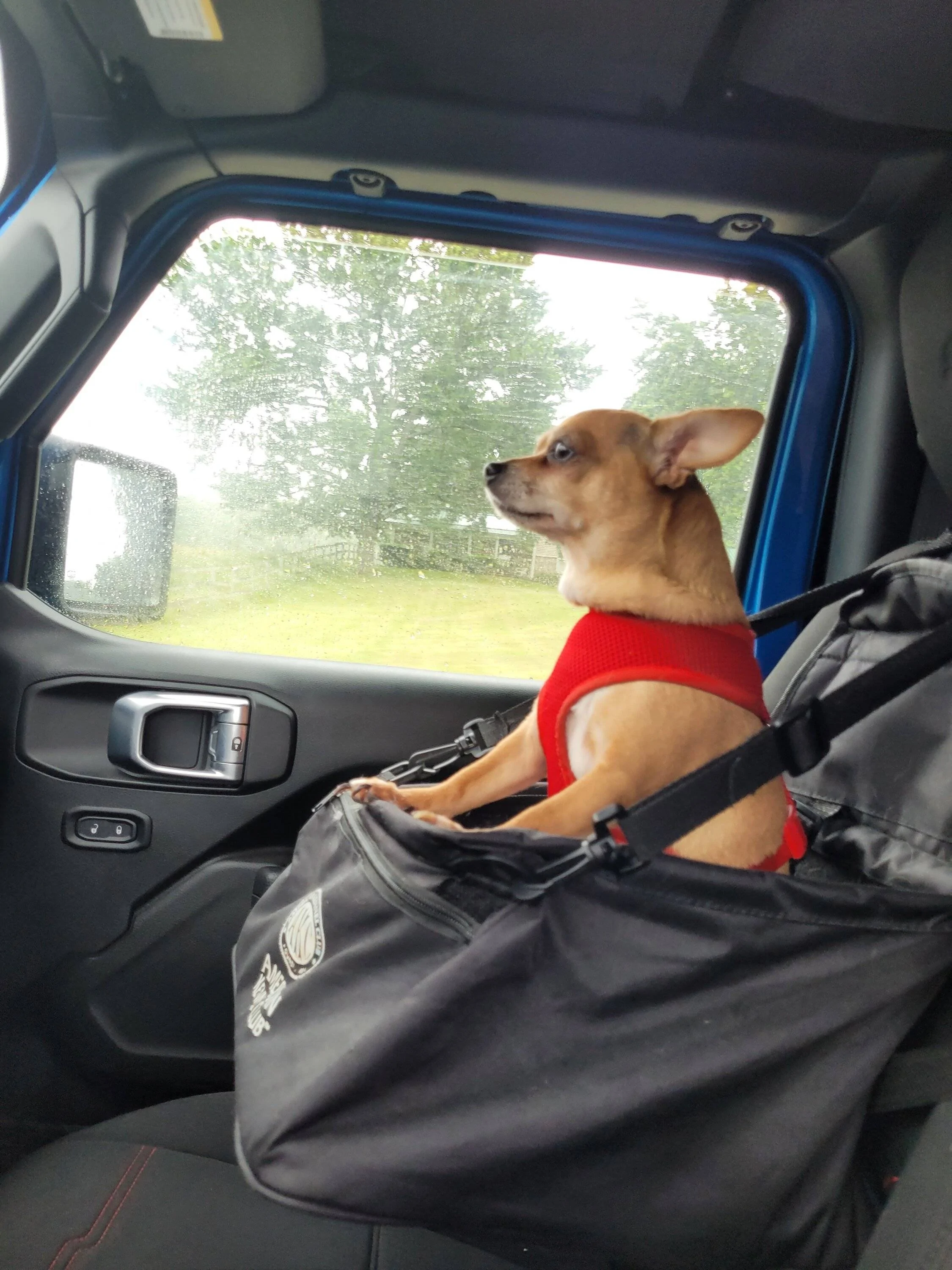 Jeep Wrangler JL Jeep Dog pics 20230623_153505