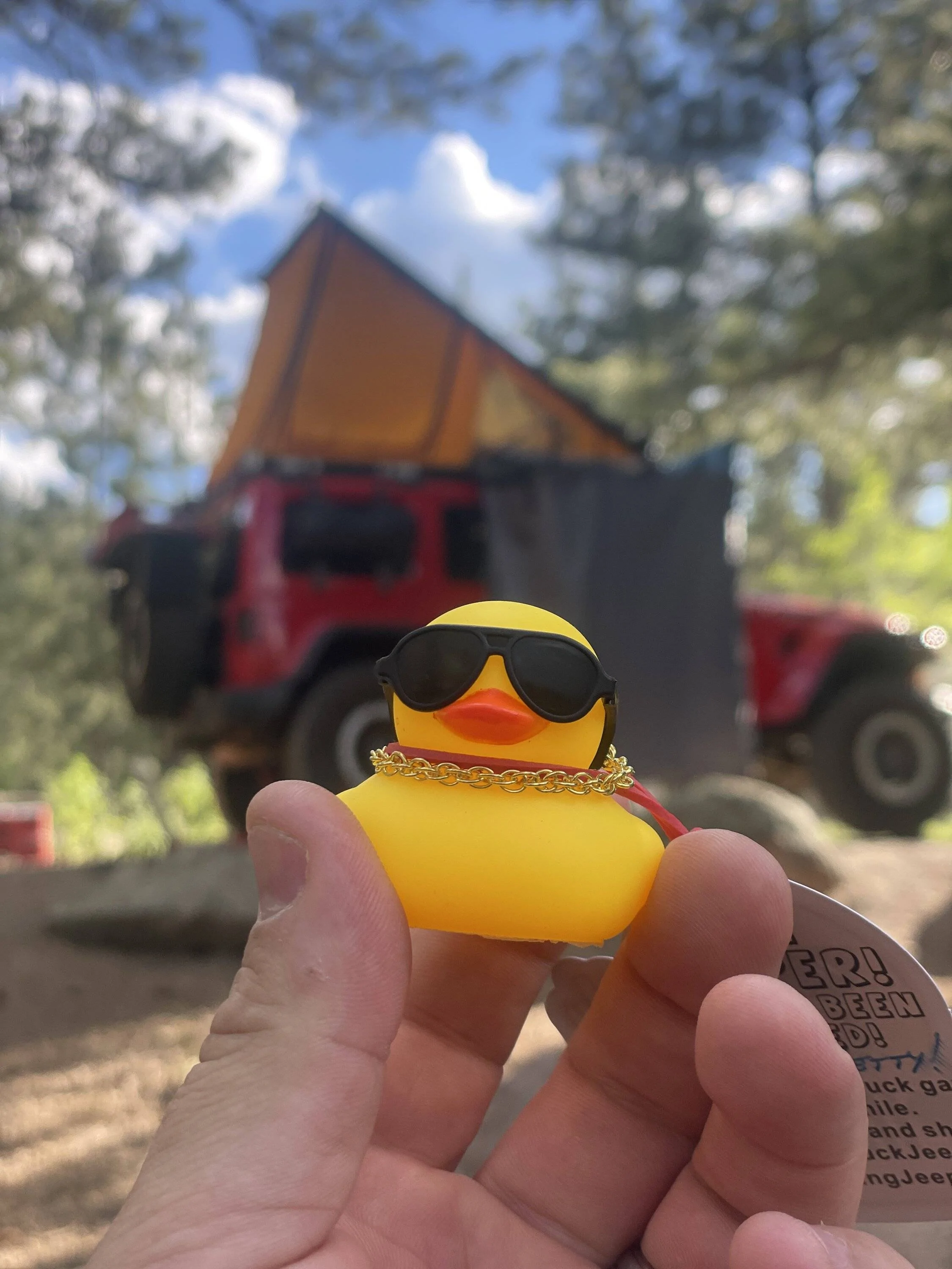 Jeep Wrangler JL Are tiny ducks a new thing? (really tiny!) Duck