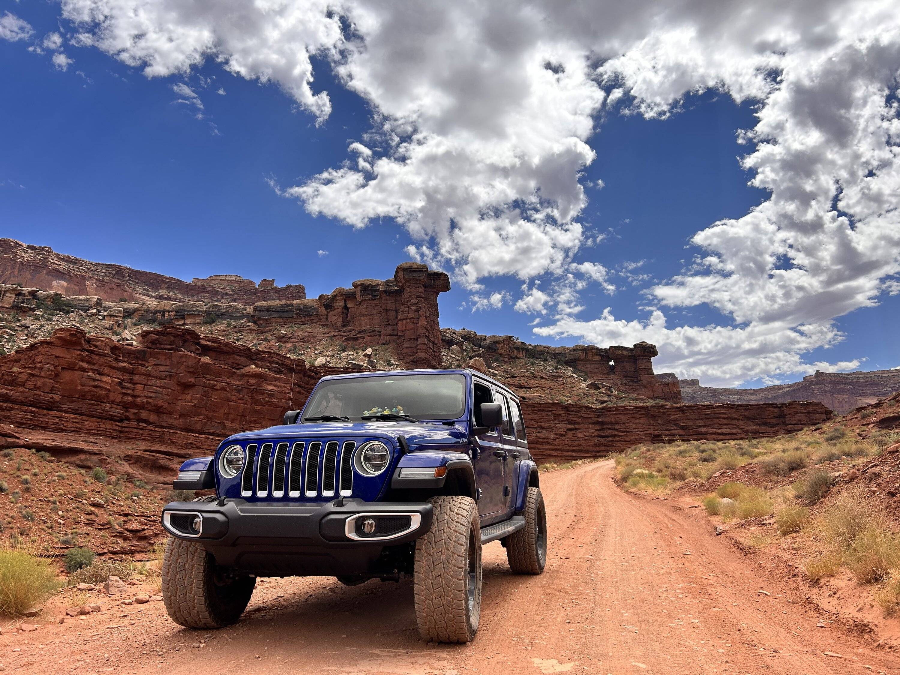 Jeep Wrangler JL Are tiny ducks a new thing? (really tiny!) FA5AABAA-5D73-48E4-92AC-FD42CF7A7FB9