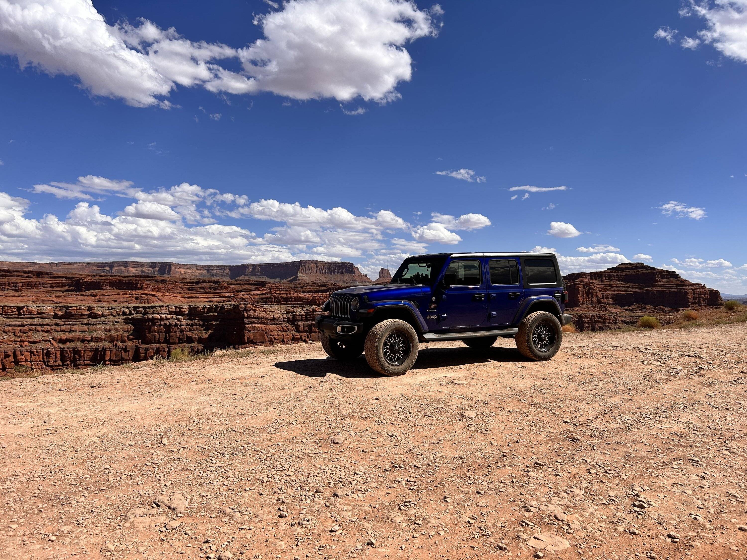 Jeep Wrangler JL Are tiny ducks a new thing? (really tiny!) 074D8506-5788-4419-8881-B7C7FE49DB7B