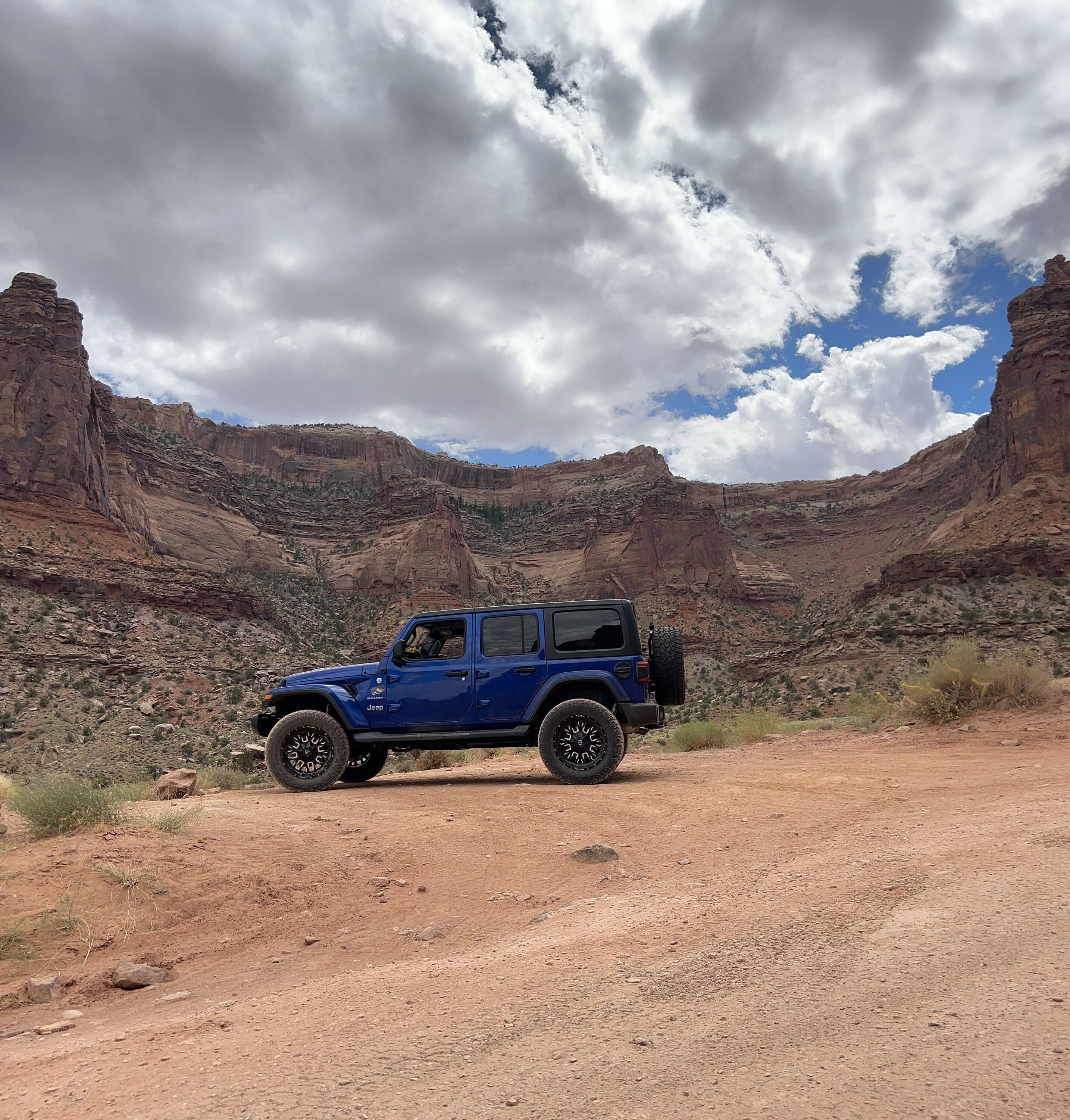 Jeep Wrangler JL Are tiny ducks a new thing? (really tiny!) CD62EBF1-1B62-44B6-9727-726BC9D8582F