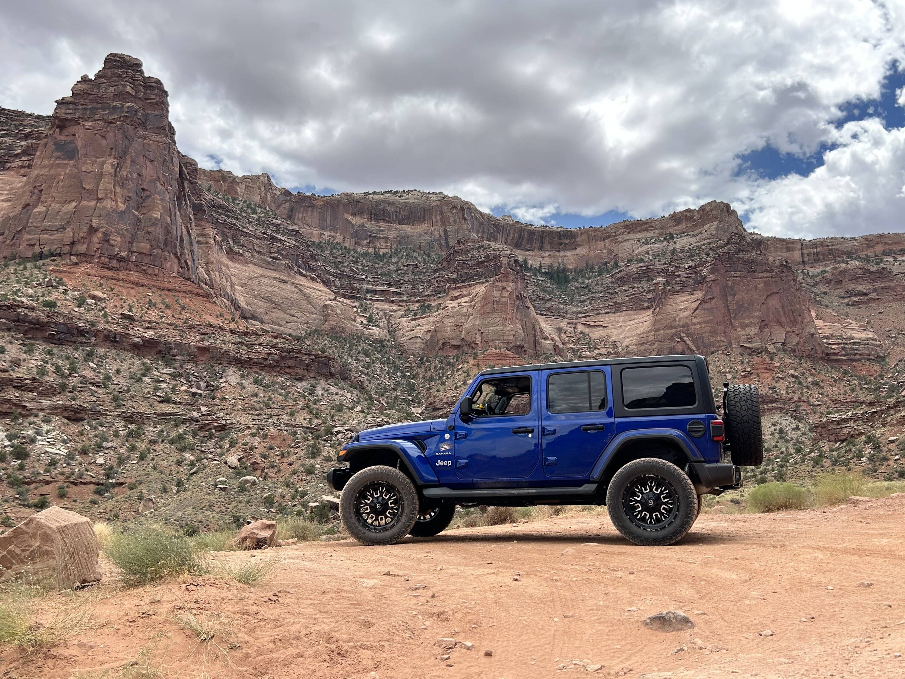 Jeep Wrangler JL Are tiny ducks a new thing? (really tiny!) B38AB501-E04F-4154-92D3-8E42785BE70C