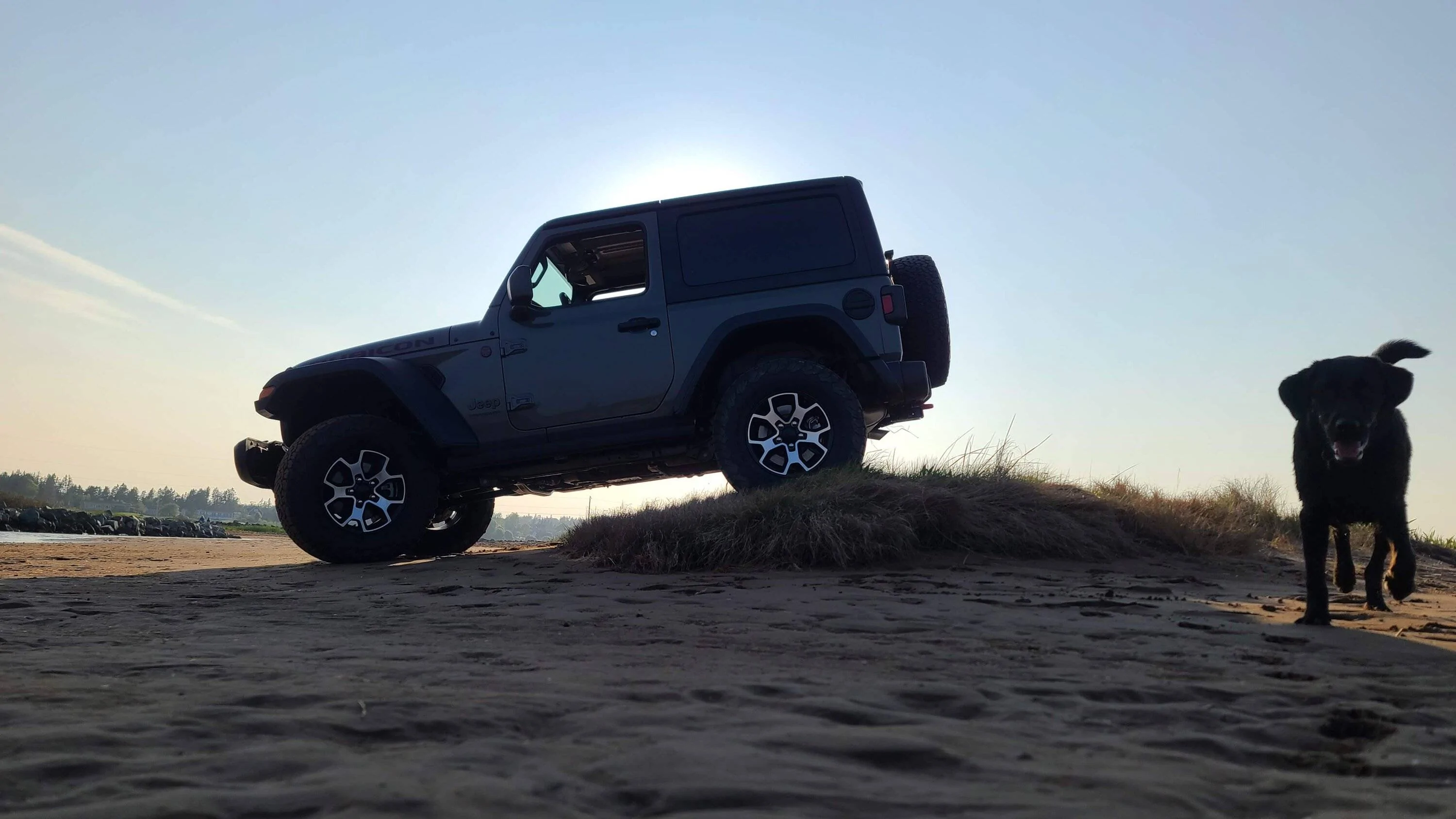 Jeep Wrangler JL Jeep Dog pics 20230612_190750