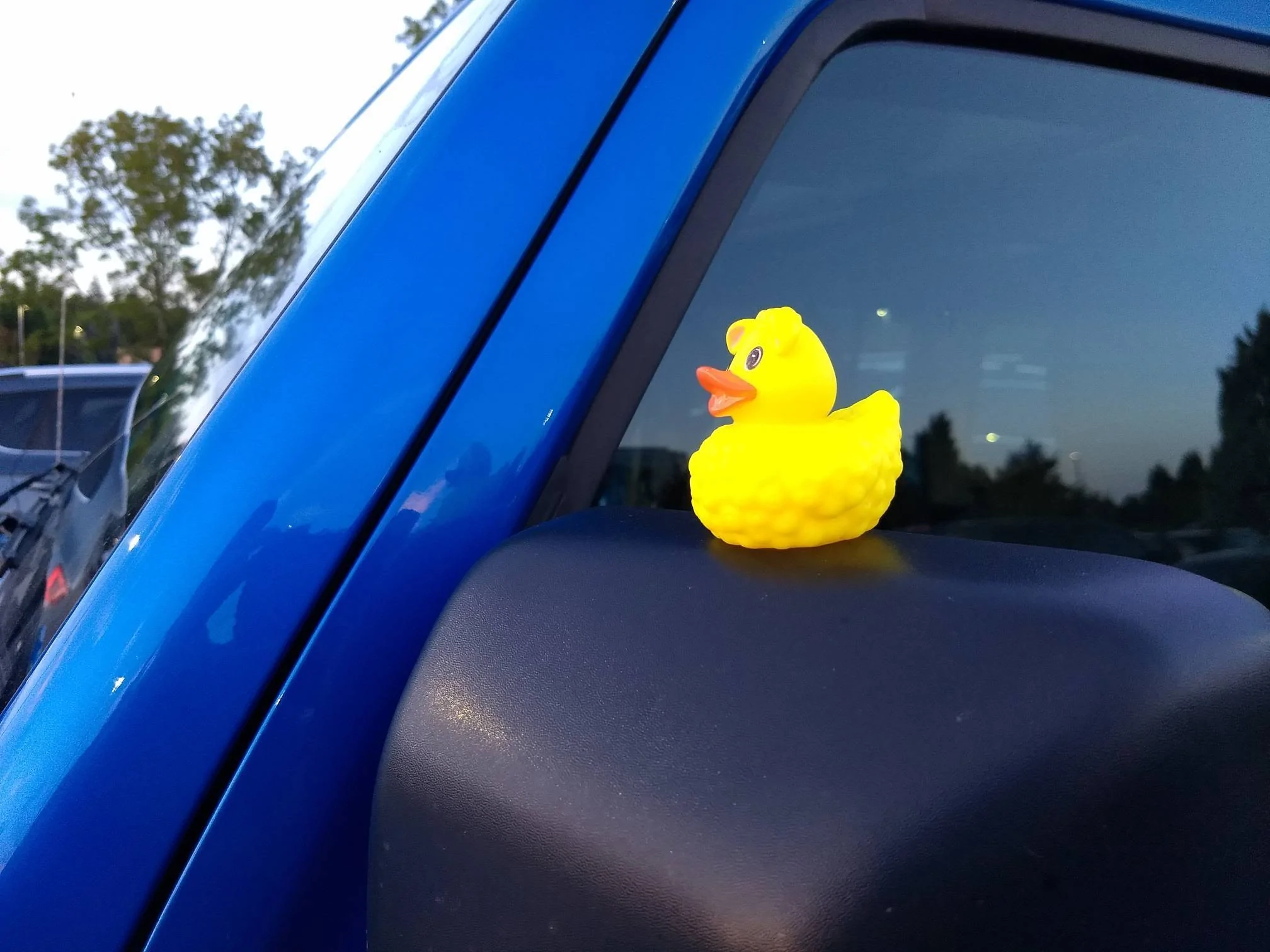 Jeep Wrangler JL Got my first duck today! Duck