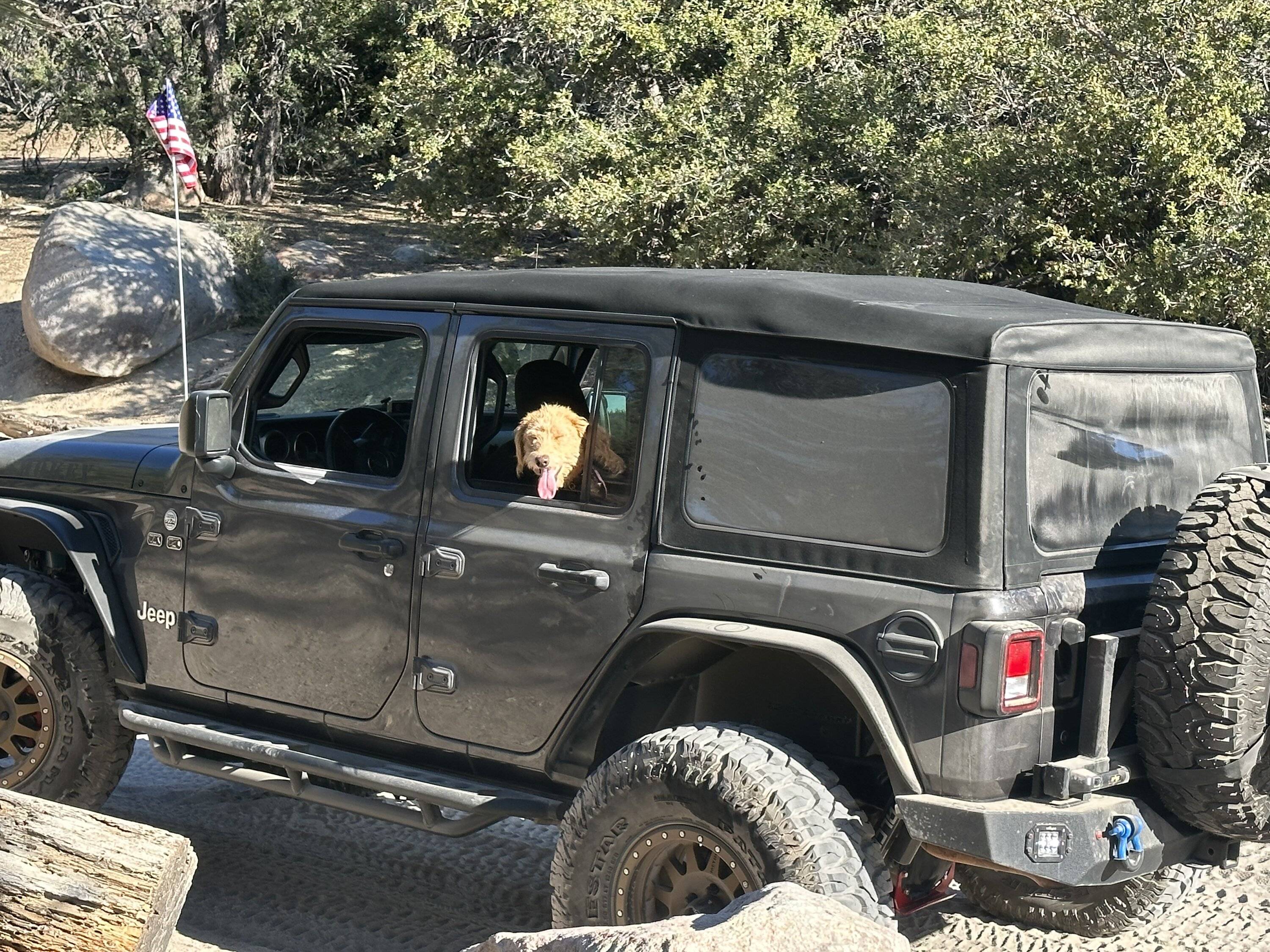 Jeep Wrangler JL Jeep Dog pics IMG_0165