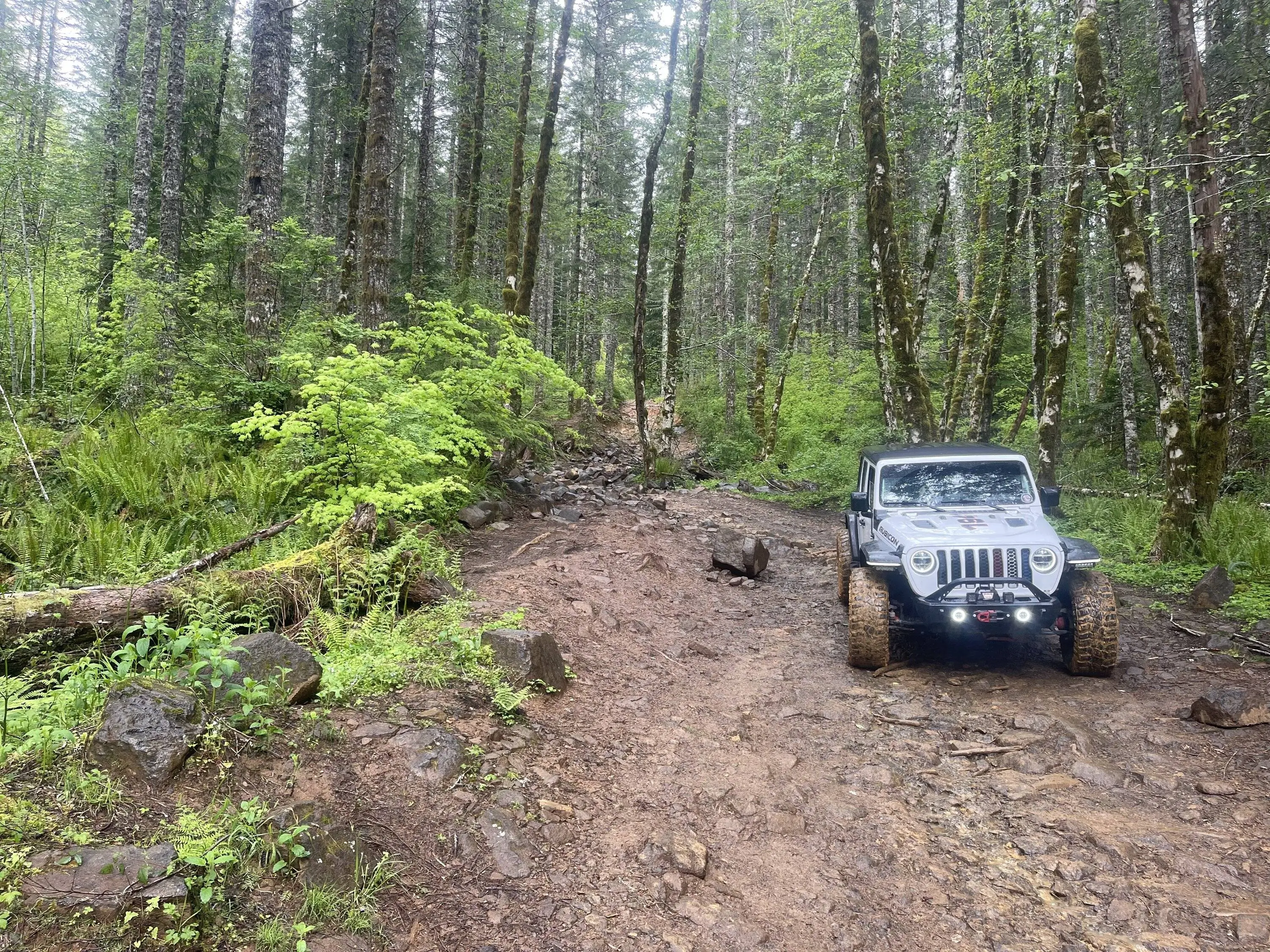 Jeep Wrangler JL Easy trail suggestions tempImage8hWOxM